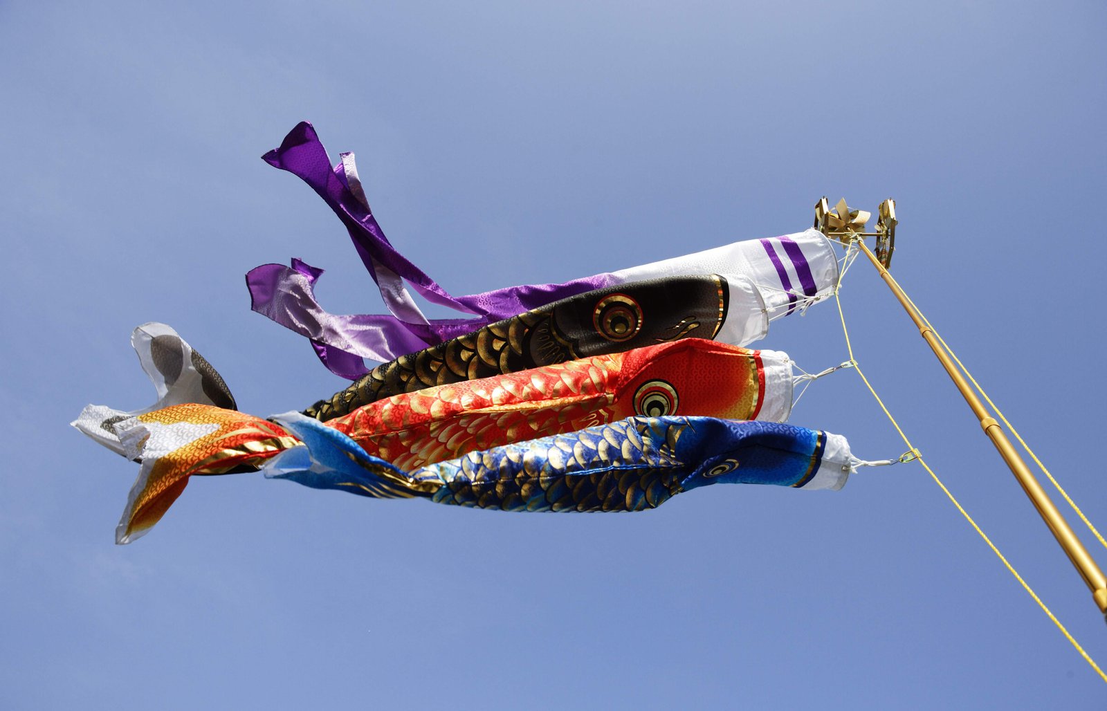 �ʐ^,�f��,����,�t���[,�t�H�g,�N���G�C�e�B�u�E�R�����Y,���i,�ǎ�,��̂ڂ�̗V�j, �����̂ڂ�, �R�C�m�{��, ��̂ڂ�, ���