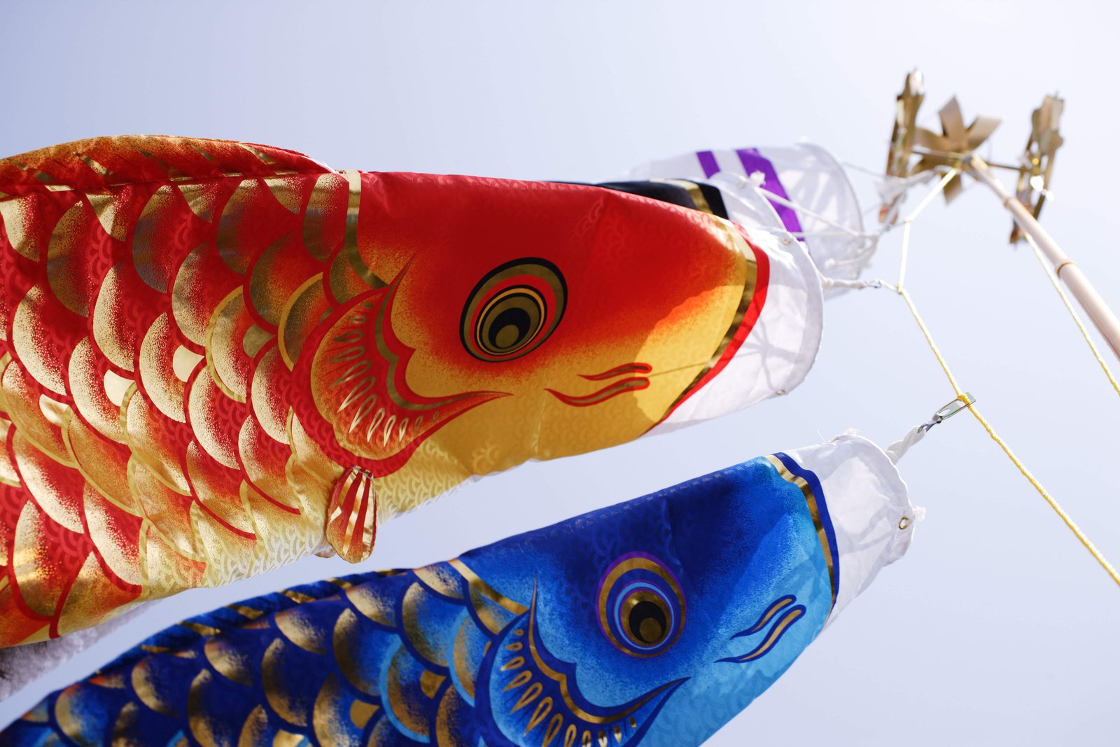 photo,material,free,landscape,picture,stock photo,Creative Commons,Up of a carp streamer, dark flag, Koinobori, carp streamer, 