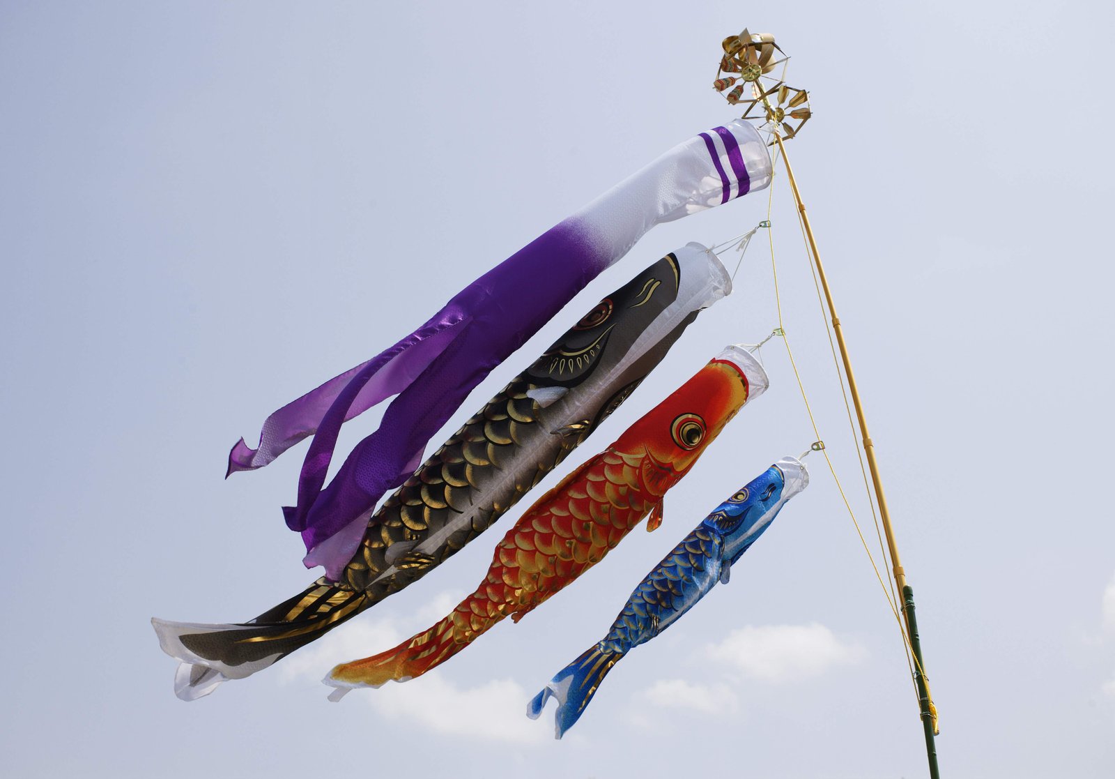 �ʐ^,�f��,����,�t���[,�t�H�g,�N���G�C�e�B�u�E�R�����Y,���i,�ǎ�,��̂ڂ�̗V�j, �����̂ڂ�, �R�C�m�{��, ��̂ڂ�, ���