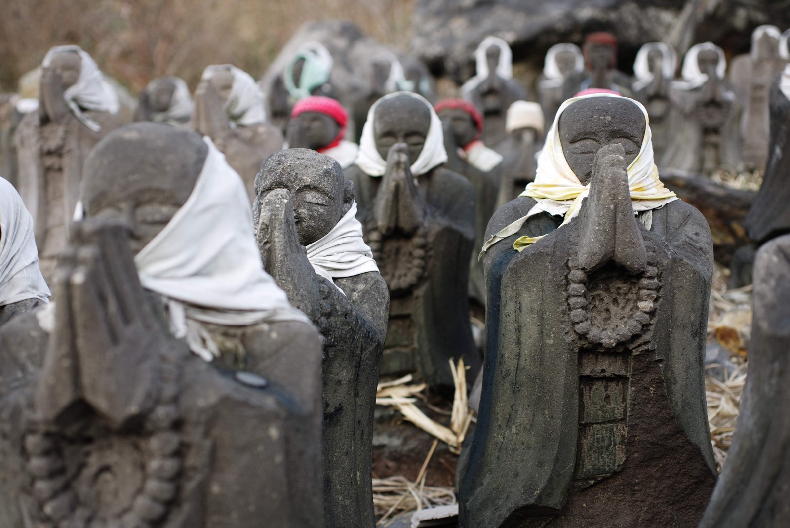 �ʐ^,�f��,����,�t���[,�t�H�g,�N���G�C�e�B�u�E�R�����Y,���i,�ǎ�,��̒n��, �n��, �F��, �����̉͌�, �n��