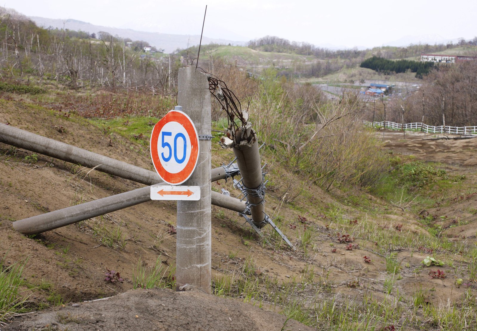 �ʐ^,�f��,����,�t���[,�t�H�g,�N���G�C�e�B�u�E�R�����Y,���i,�ǎ�,50km/h�W���̍��f, ����, �ЊQ, �d��, ��ʕW��