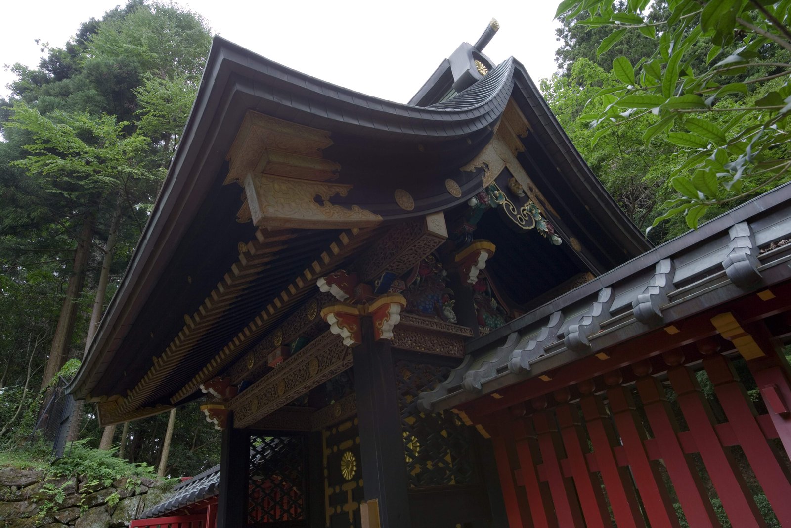 �ʐ^,�f��,����,�t���[,�t�H�g,�N���G�C�e�B�u�E�R�����Y,���i,�ǎ�,���P�a, ��, ����, ��, ��