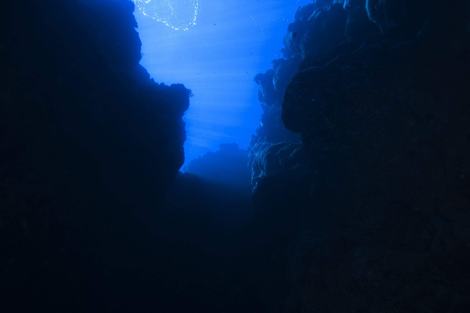 photo,material,free,landscape,picture,stock photo,Creative Commons,An underwater gorge, rock, Sunlight, Blue, underwater photograph