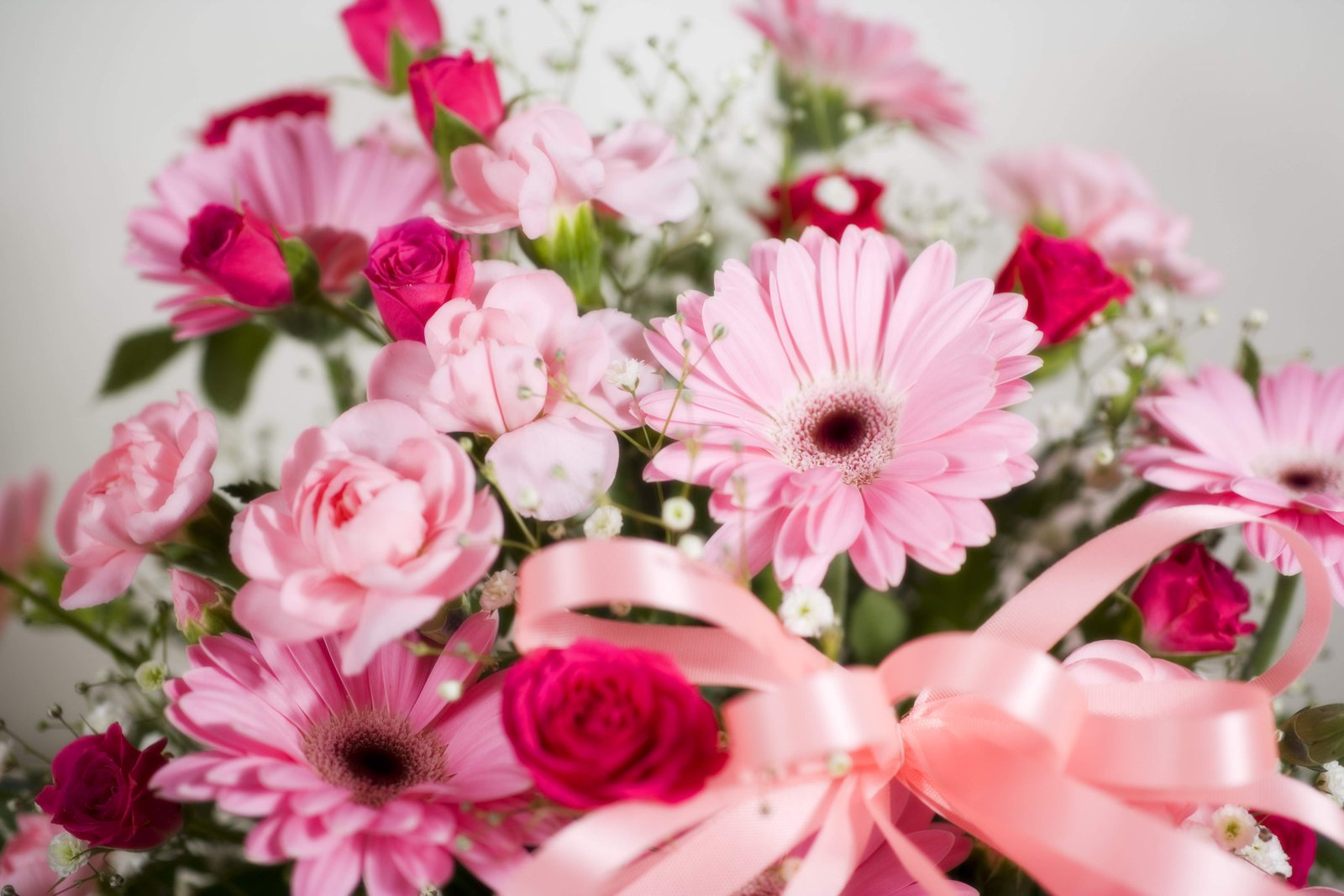 �ʐ^,�f��,����,�t���[,�t�H�g,�N���G�C�e�B�u�E�R�����Y,���i,�ǎ�,�t�����[�A�����W�����g, ������, ������, �K�N, �����ݑ�