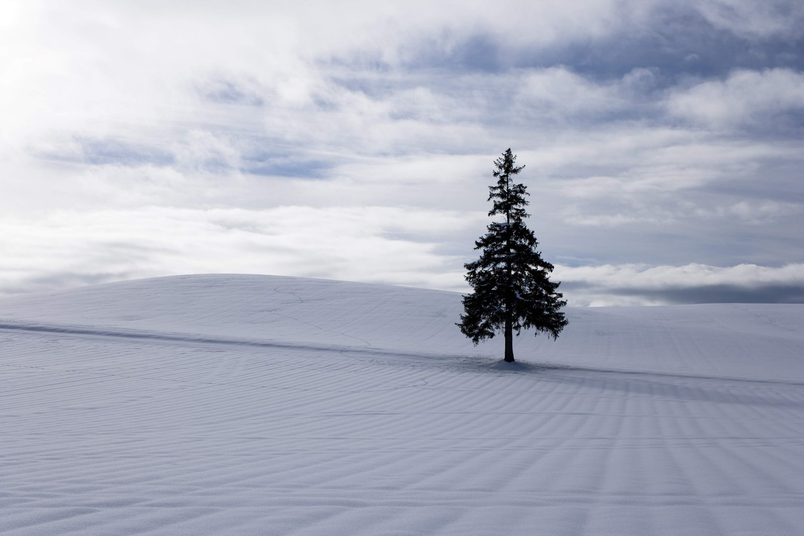 �ʐ^,�f��,����,�t���[,�t�H�g,�N���G�C�e�B�u�E�R�����Y,���i,�ǎ�,�N���X�}�X�c���[�̐ጴ, �ጴ, �_, ��, ��