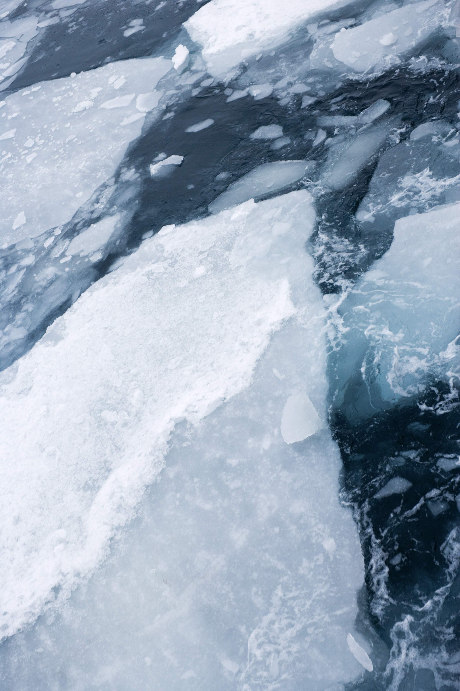 �ʐ^,�f��,����,�t���[,�t�H�g,�N���G�C�e�B�u�E�R�����Y,���i,�ǎ�,���X�̂�����, ���X, �X, �C, ����