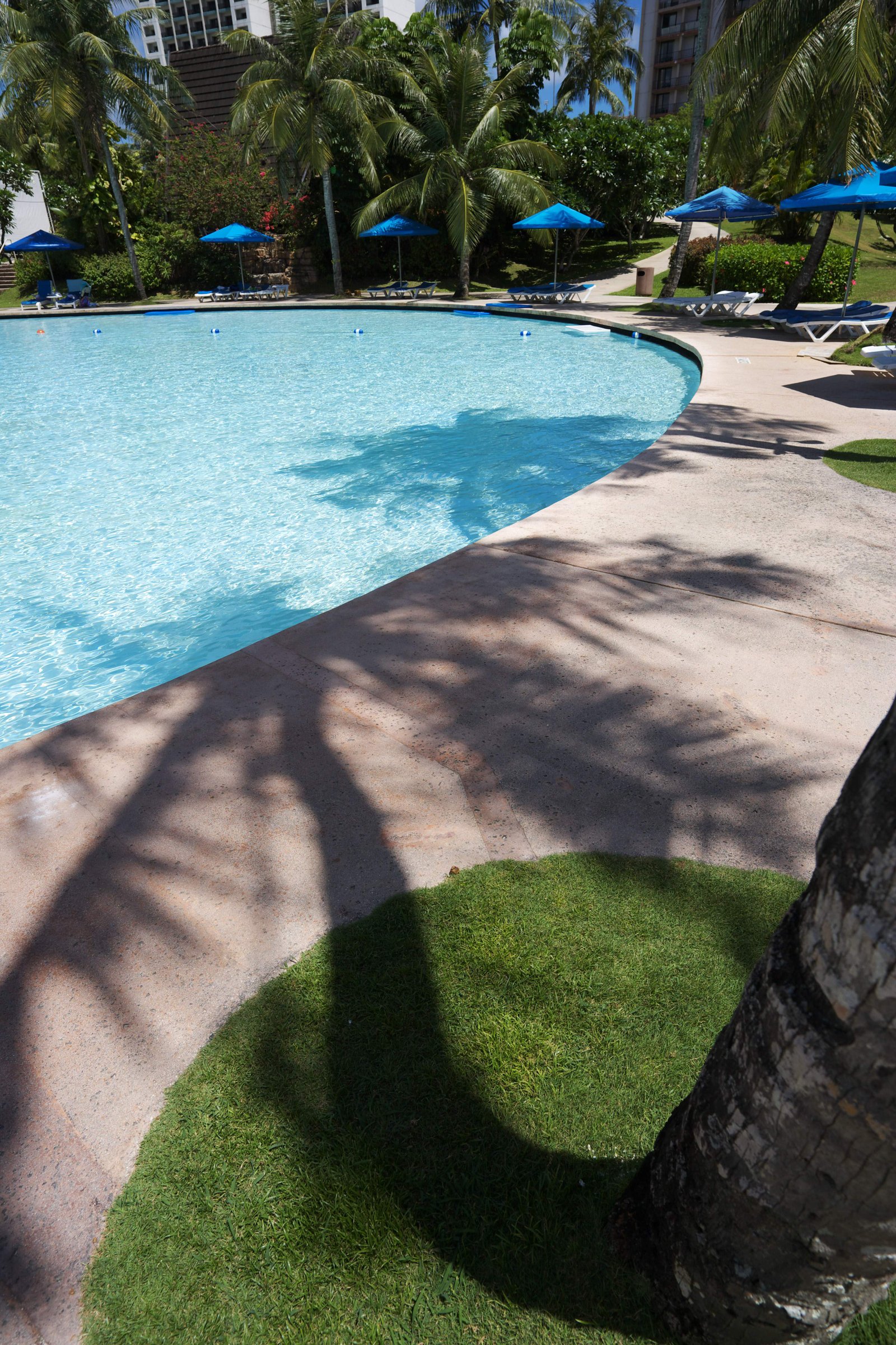 �ʐ^,�f��,����,�t���[,�t�H�g,�N���G�C�e�B�u�E�R�����Y,���i,�ǎ�,���]�[�g�r�[�`�T�C�h, ��̓�, ���]�[�g, �v�[��, �p���\��