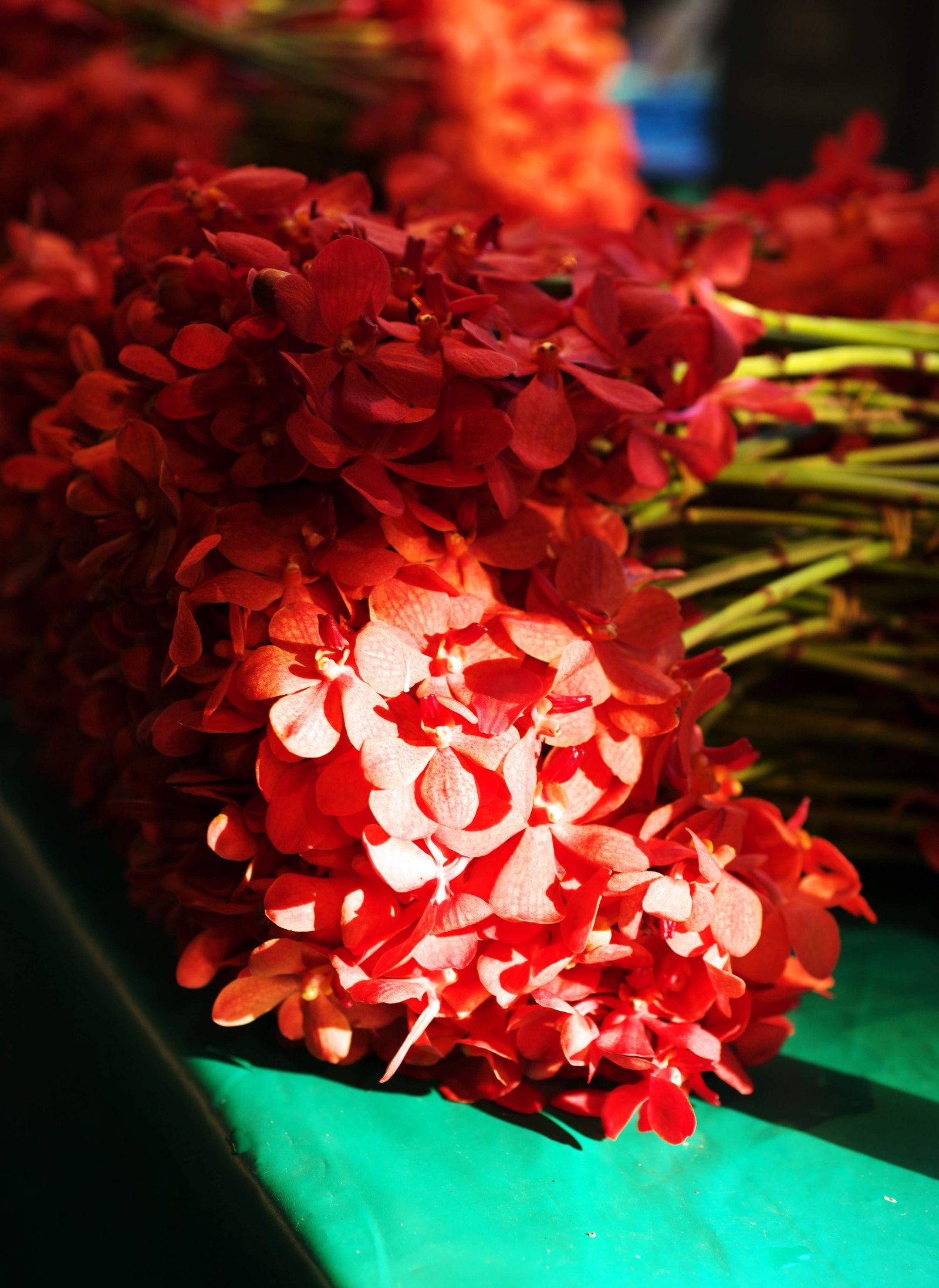 �ʐ^,�f��,����,�t���[,�t�H�g,�N���G�C�e�B�u�E�R�����Y,���i,�ǎ�,���̉�, ���, ����, ��, �s��