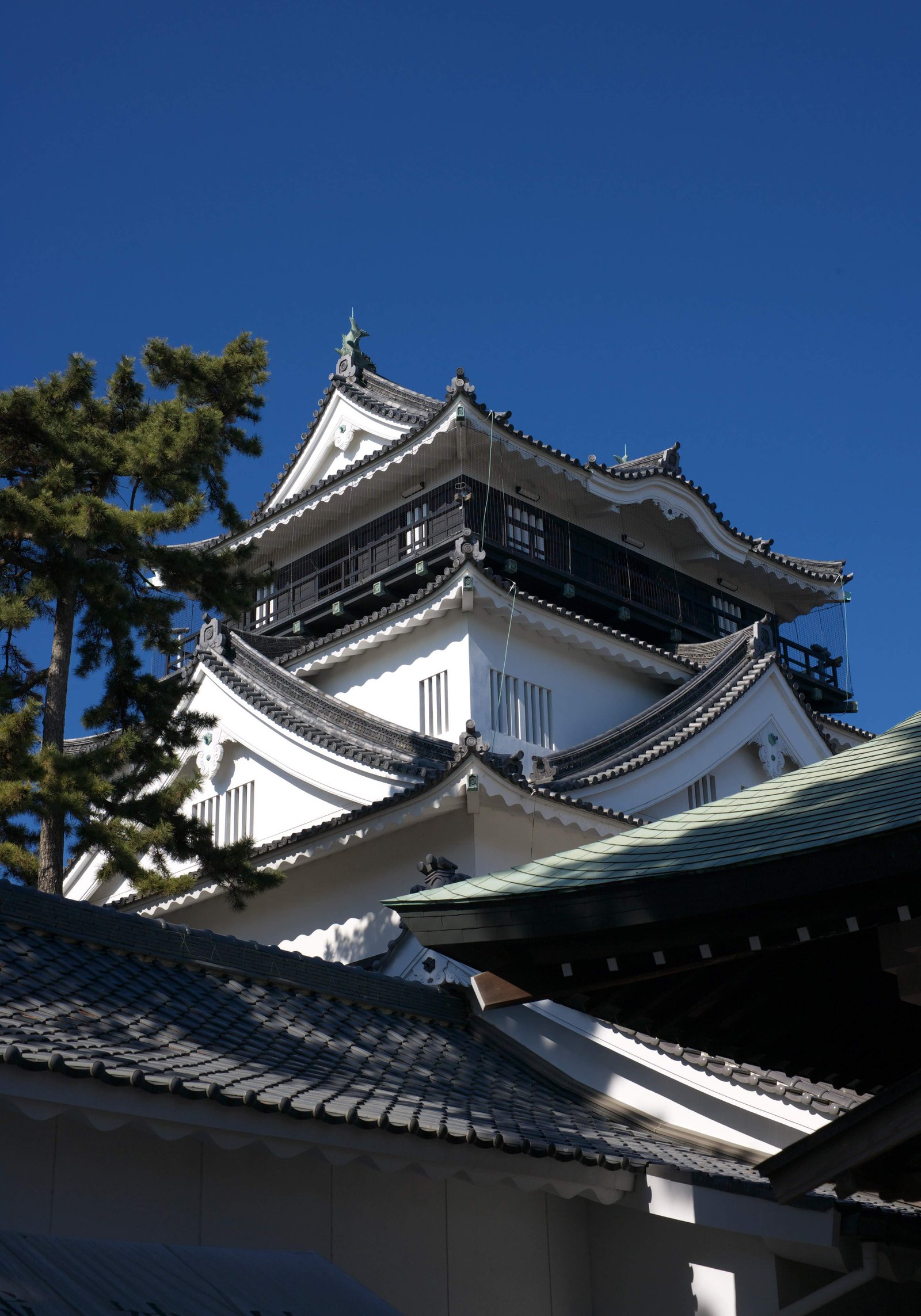 写真,素材,無料,フリー,フォト,クリエイティブ・コモンズ,風景,壁紙,岡崎城, 城郭, 屋根, 徳川家康, 歴史