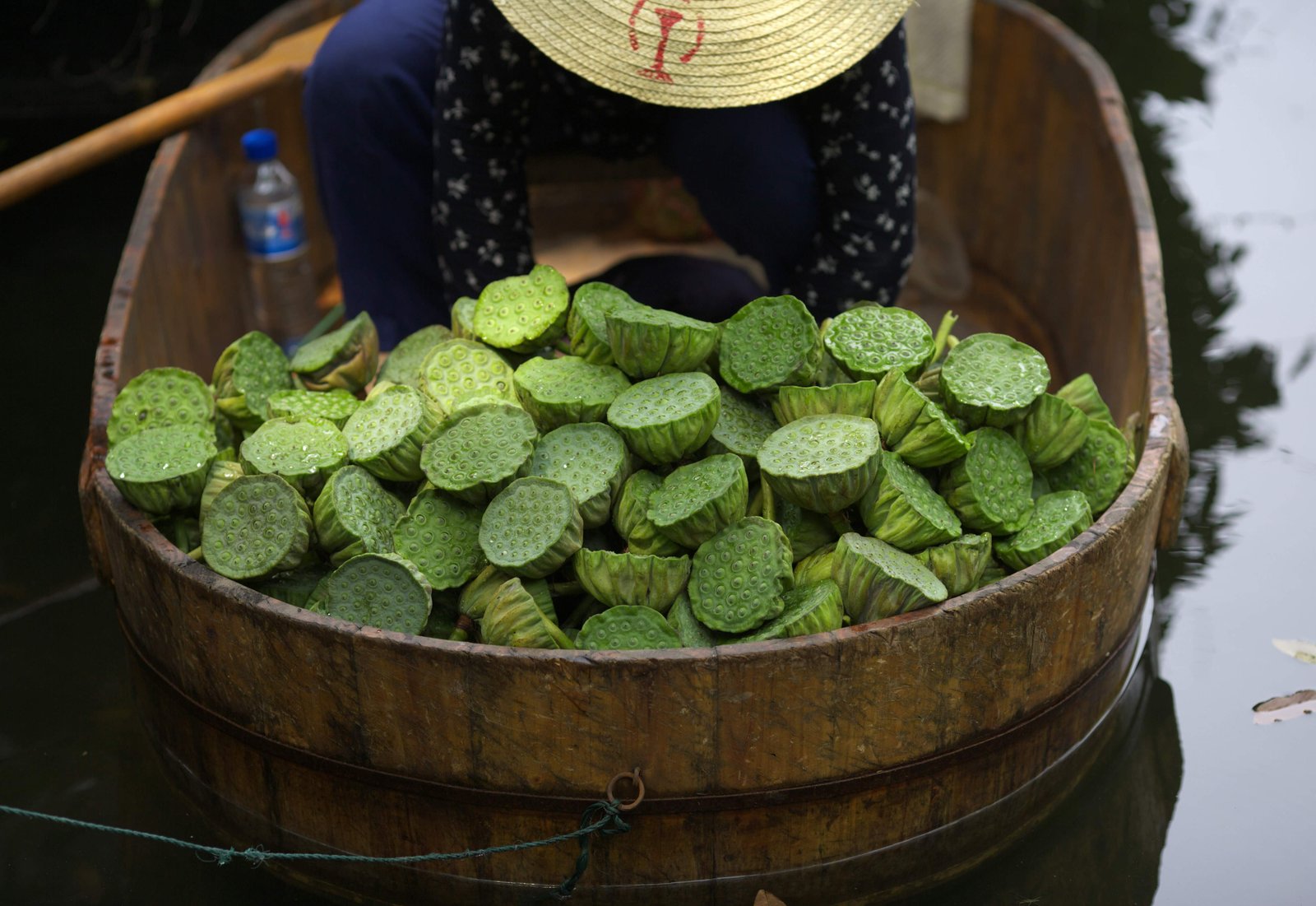 �ʐ^,�f��,����,�t���[,�t�H�g,�N���G�C�e�B�u�E�R�����Y,���i,�ǎ�,�ِ����̃n�X�̎�����, ����, �n�X, �@, �뉀