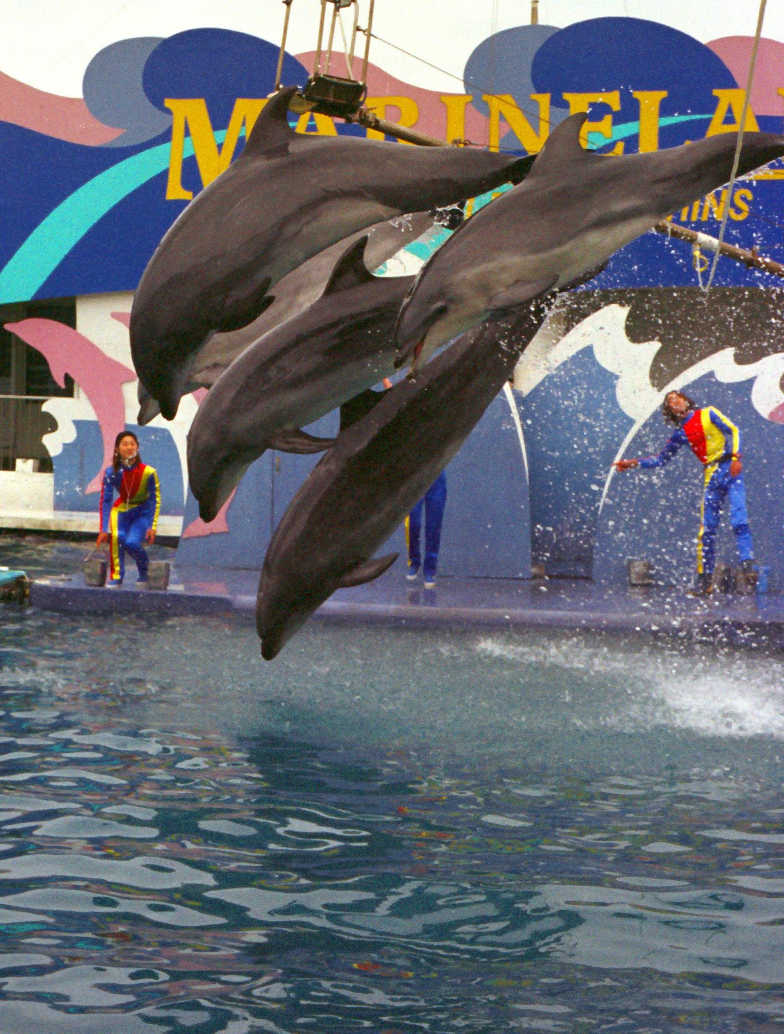 �ʐ^,�f��,����,�t���[,�t�H�g,�N���G�C�e�B�u�E�R�����Y,���i,�ǎ�,�C���J�W�����v, �C, ����, , 