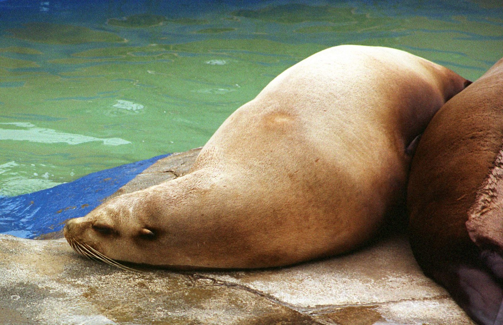 �ʐ^,�f��,����,�t���[,�t�H�g,�N���G�C�e�B�u�E�R�����Y,���i,�ǎ�,�ς�����, �C, , , 