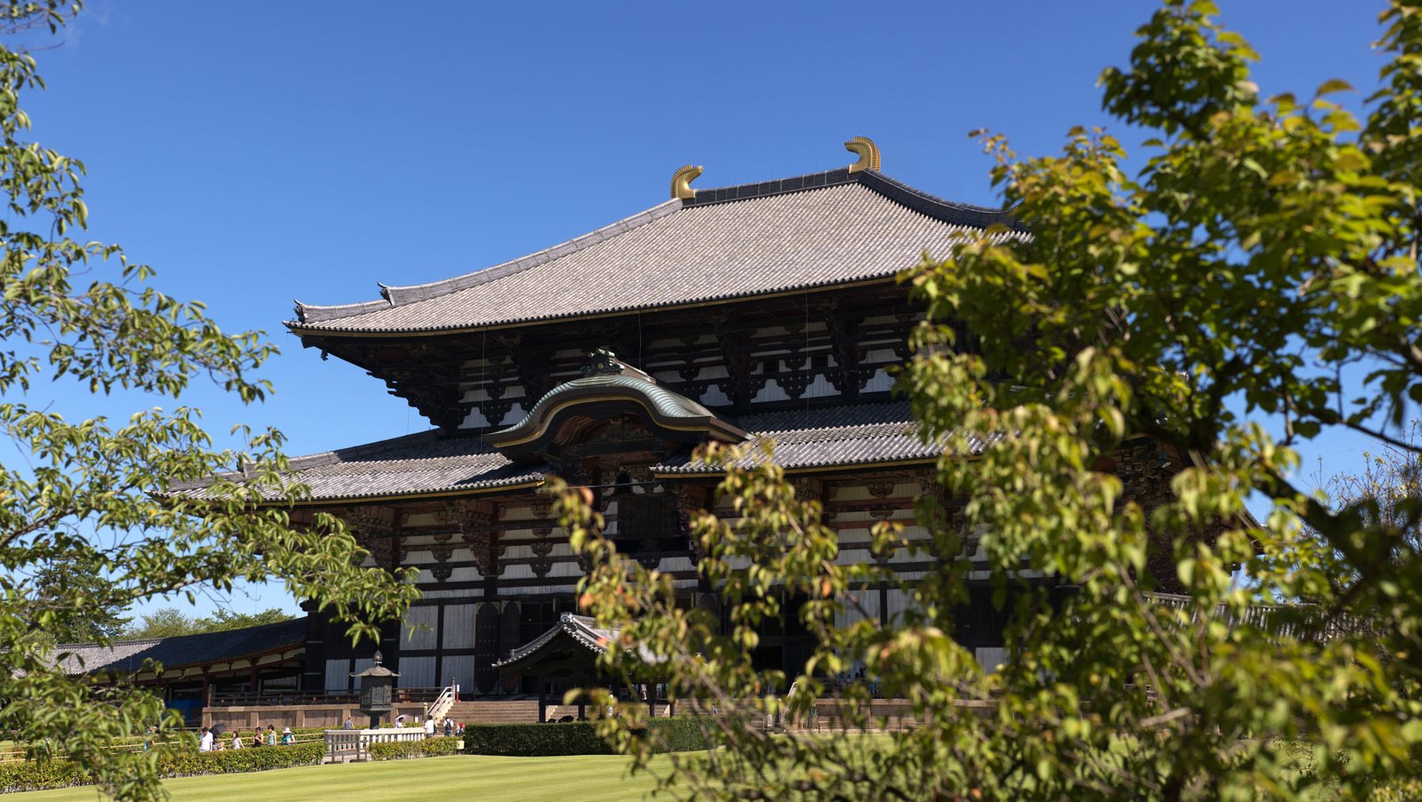 写真,素材,無料,フリー,フォト,クリエイティブ・コモンズ,風景,壁紙,東大寺大仏殿, 大仏, 木造建築, 仏教, 寺院