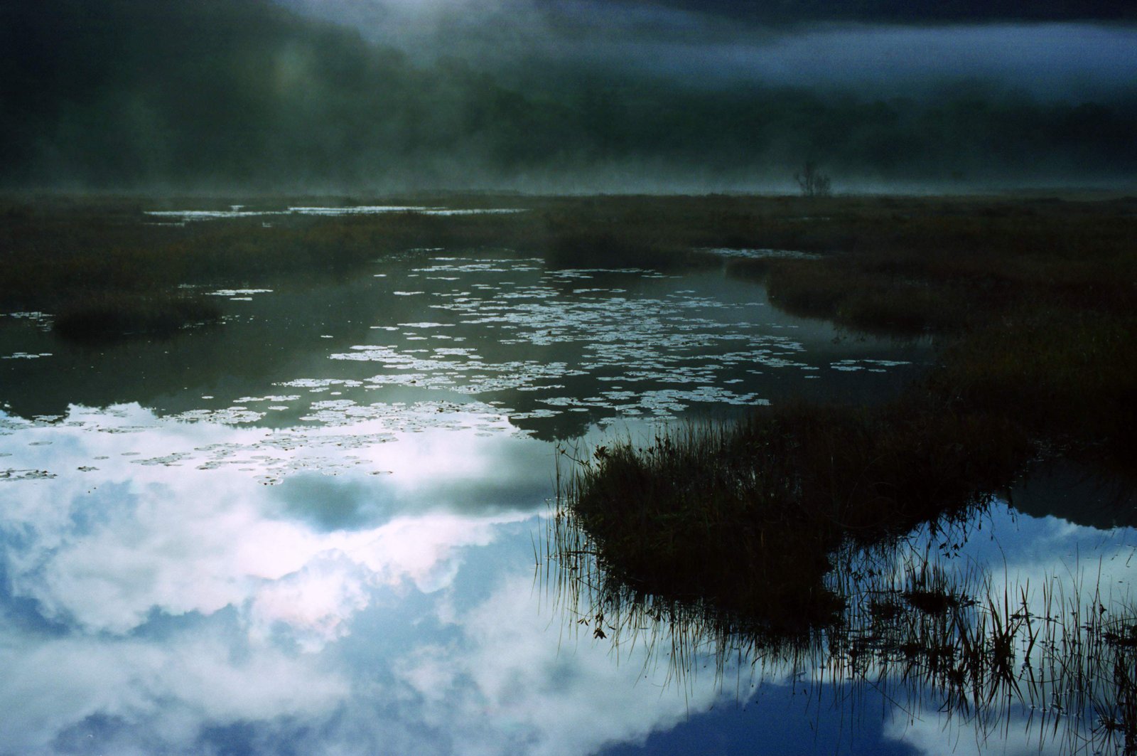 �ʐ^,�f��,����,�t���[,�t�H�g,�N���G�C�e�B�u�E�R�����Y,���i,�ǎ�,���ʋ�, �r, ��, �R, ��