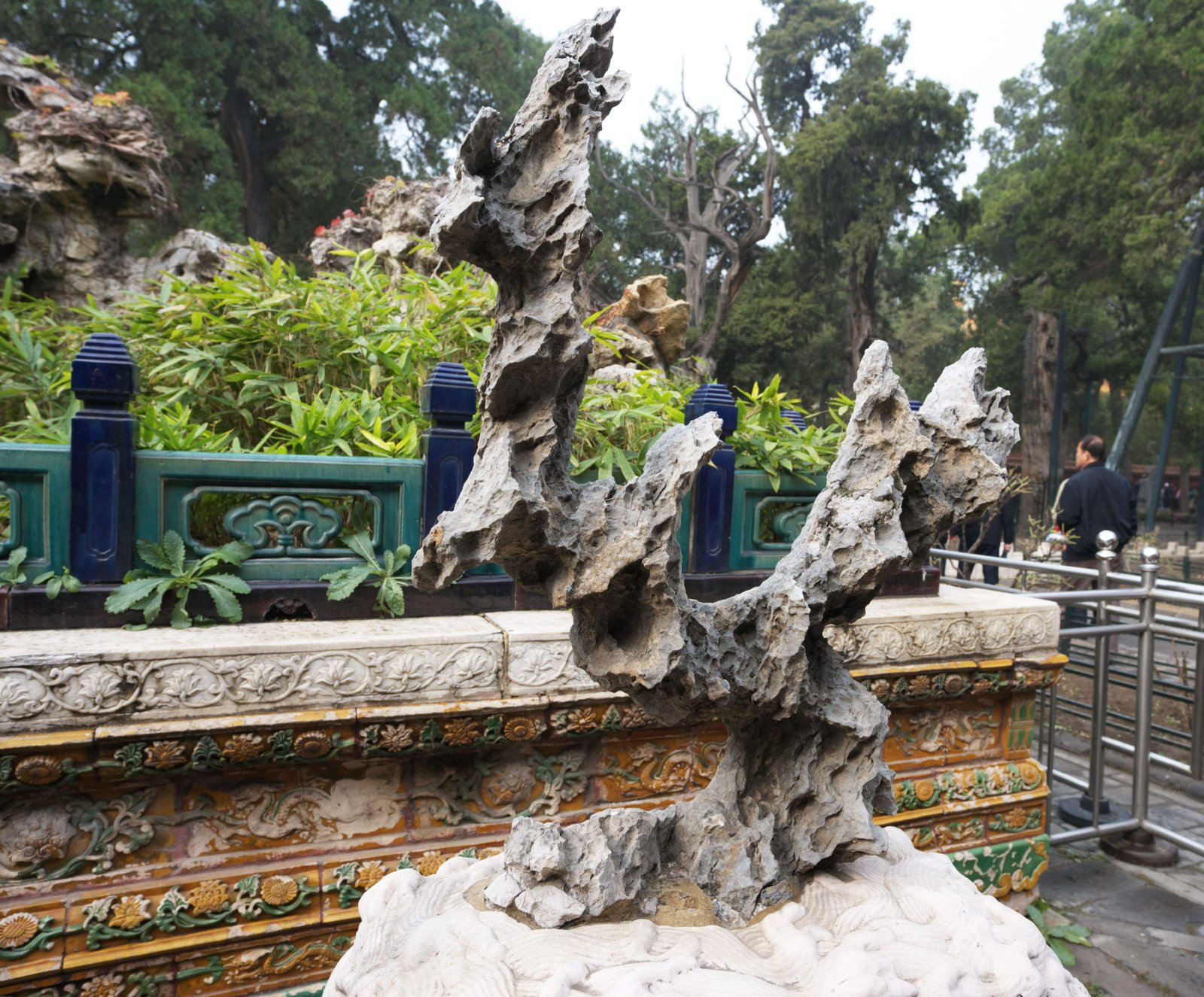 �ʐ^,�f��,����,�t���[,�t�H�g,�N���G�C�e�B�u�E�R�����Y,���i,�ǎ�,�̋{�̊��, ��, ���蕨, �u��, ���E��Y