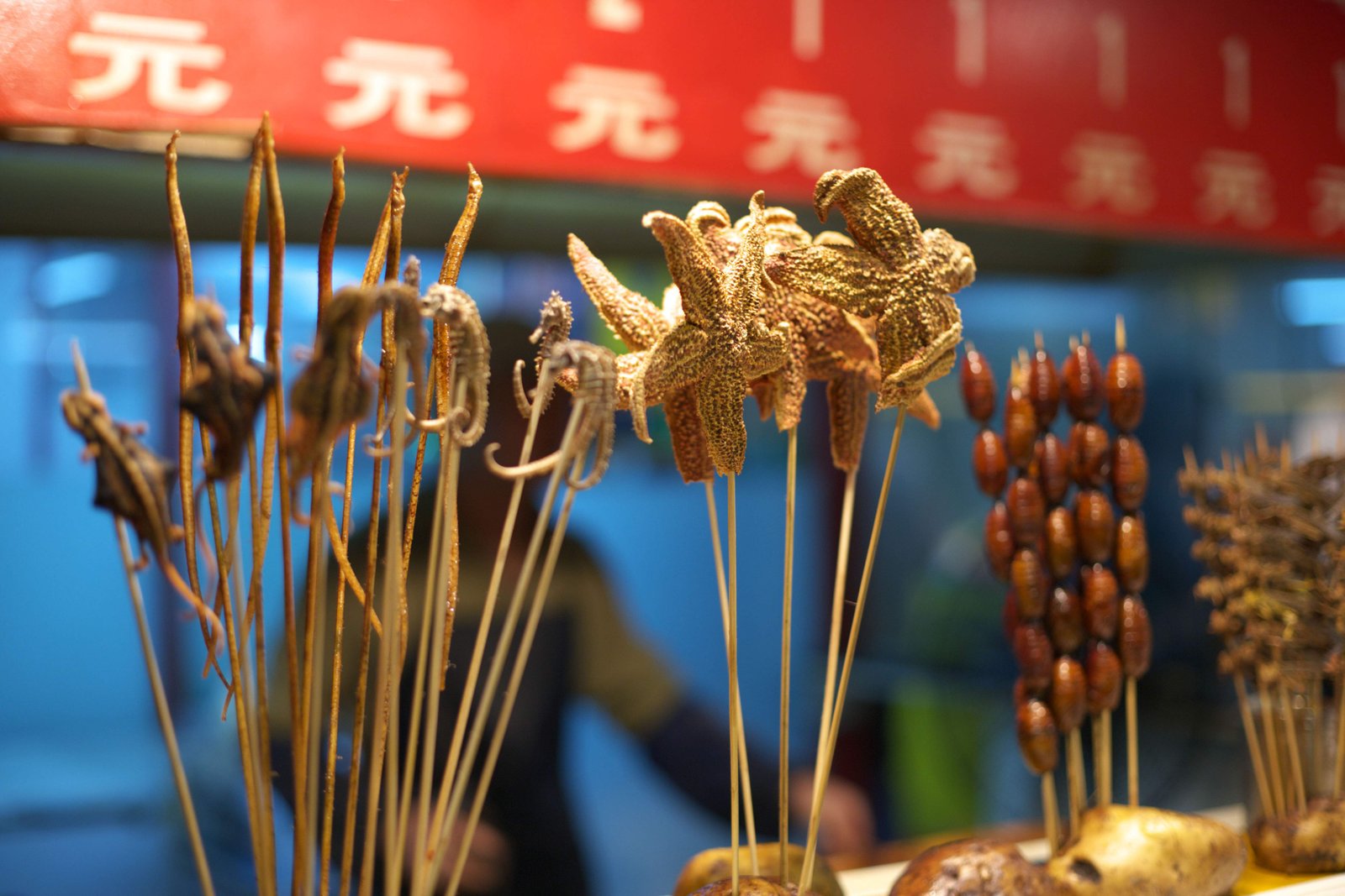 �ʐ^,�f��,����,�t���[,�t�H�g,�N���G�C�e�B�u�E�R�����Y,���i,�ǎ�,�q�g�f�̋�, �ЂƂ�, �q�g�f, �J�C�R, �^�c�m�I�g�V�S