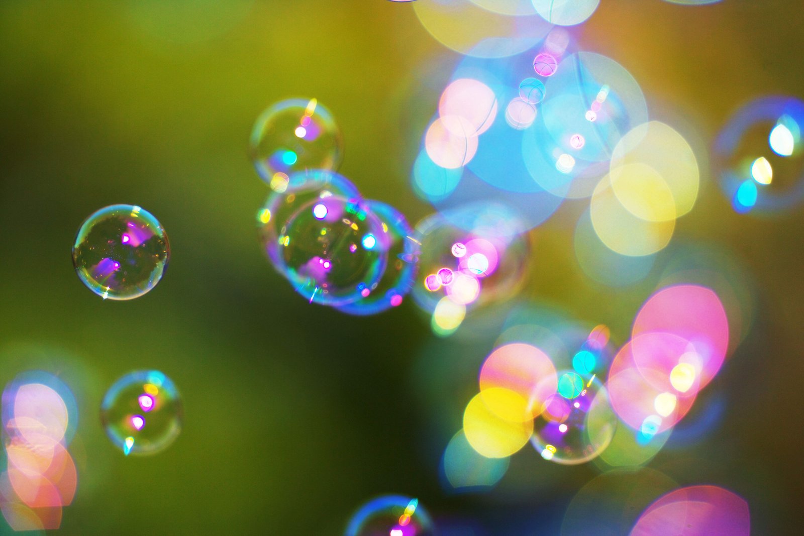 �ʐ^,�f��,����,�t���[,�t�H�g,�N���G�C�e�B�u�E�R�����Y,���i,�ǎ�,�V���{����, ����ڂ��, �A, �V�Y, �q���̗V��