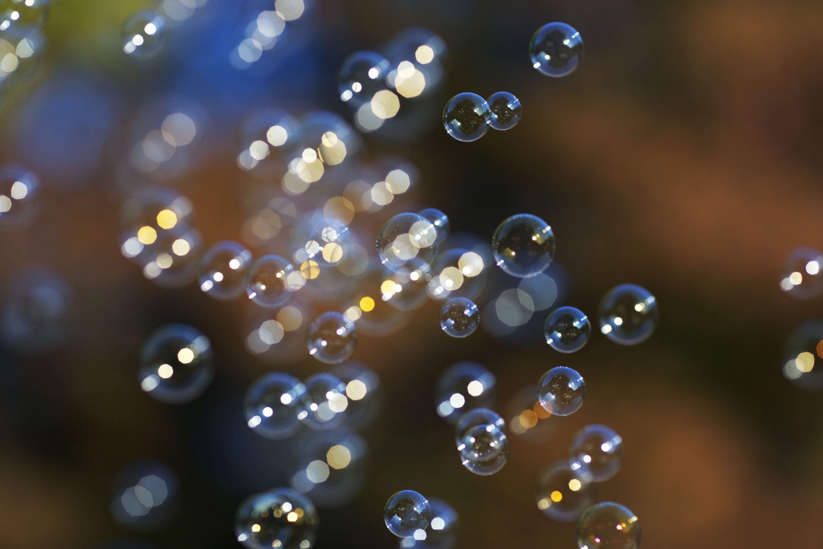 �ʐ^,�f��,����,�t���[,�t�H�g,�N���G�C�e�B�u�E�R�����Y,���i,�ǎ�,�V���{����, ����ڂ��, �A, �V�Y, �q���̗V��