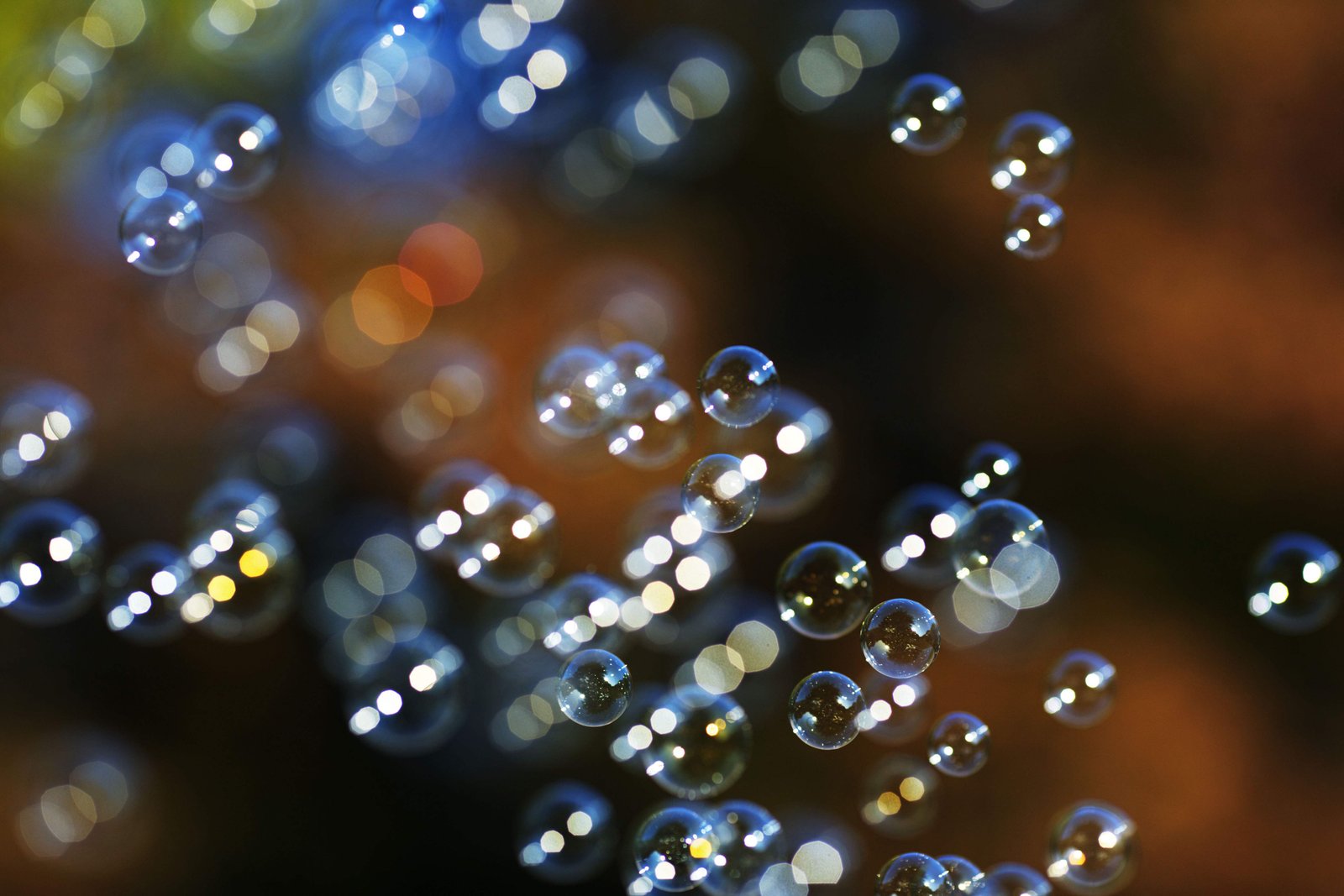 �ʐ^,�f��,����,�t���[,�t�H�g,�N���G�C�e�B�u�E�R�����Y,���i,�ǎ�,�V���{����, ����ڂ��, �A, �V�Y, �q���̗V��