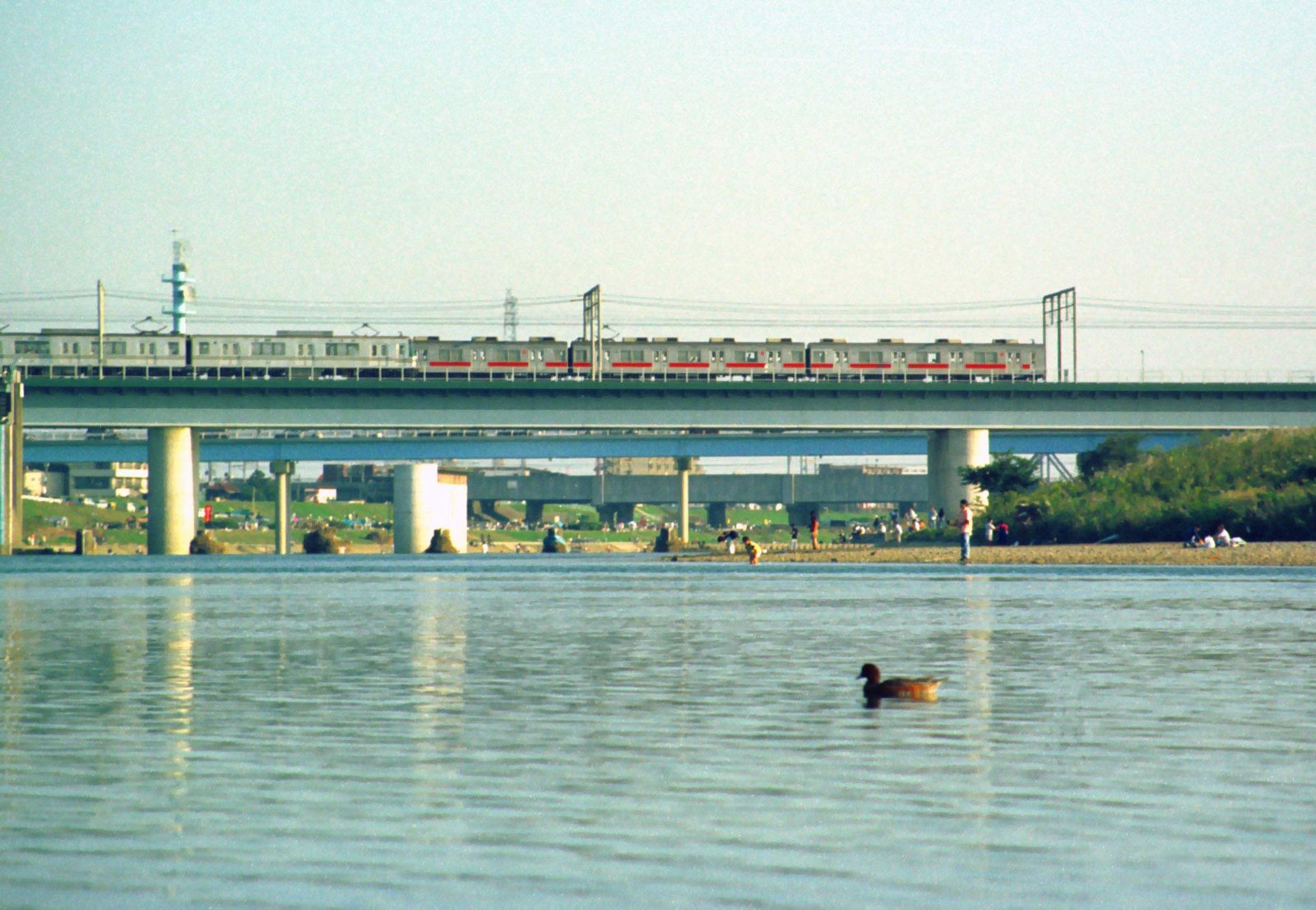 photo,material,free,landscape,picture,stock photo,Creative Commons,Depressing afternoon of a duck, river, train, water surface, 