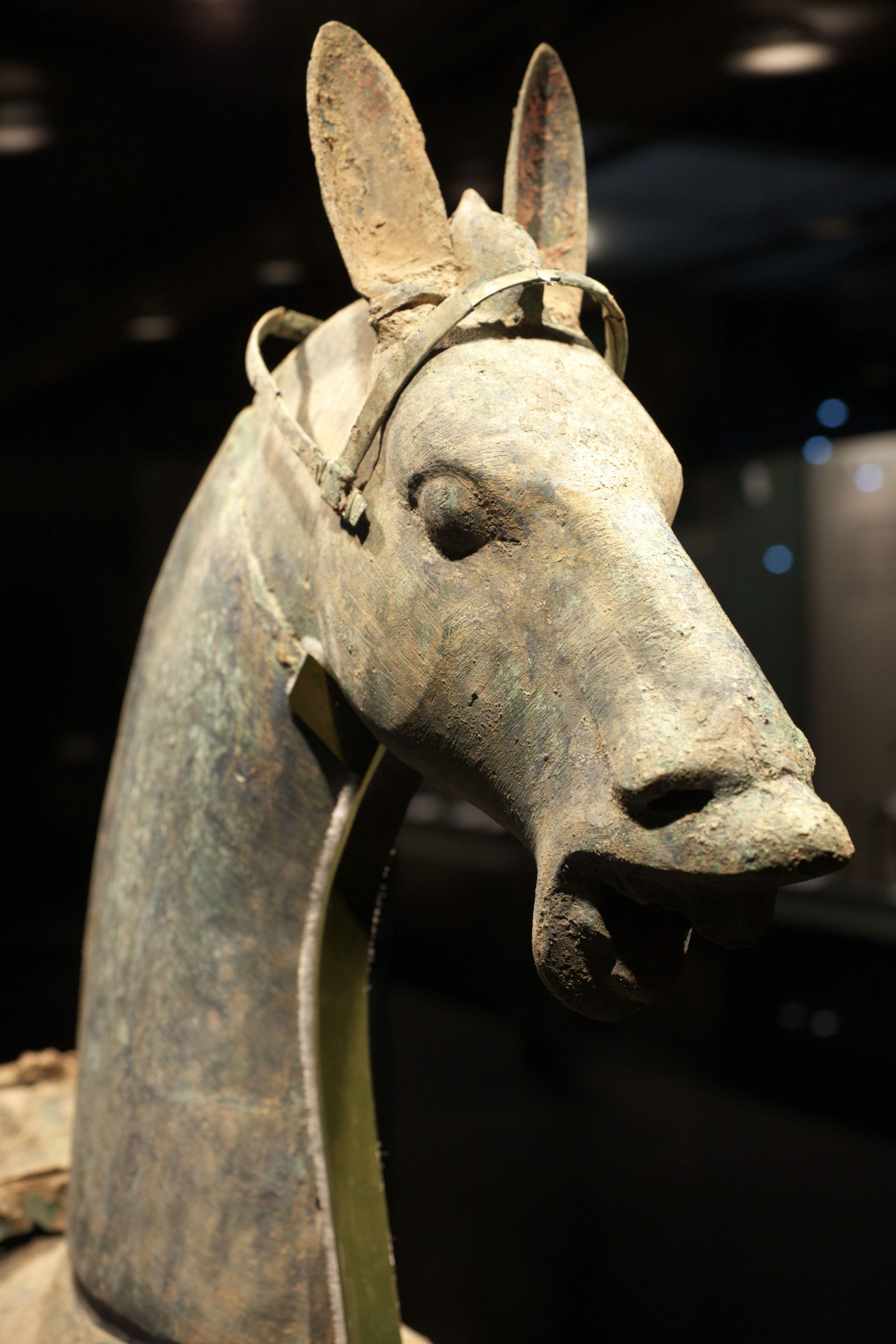 photo,material,free,landscape,picture,stock photo,Creative Commons,Bronze Horse, Ancient China, Bronze statue, Vehicles, Horse