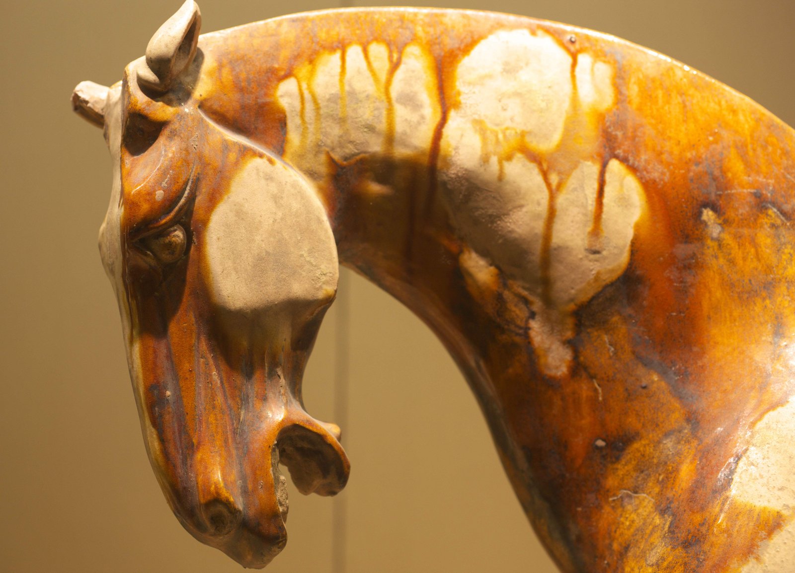 photo,material,free,landscape,picture,stock photo,Creative Commons,Tri-colored Horses, Lowering Down or Rising up Head, Pottery, Ancient China, Horse,