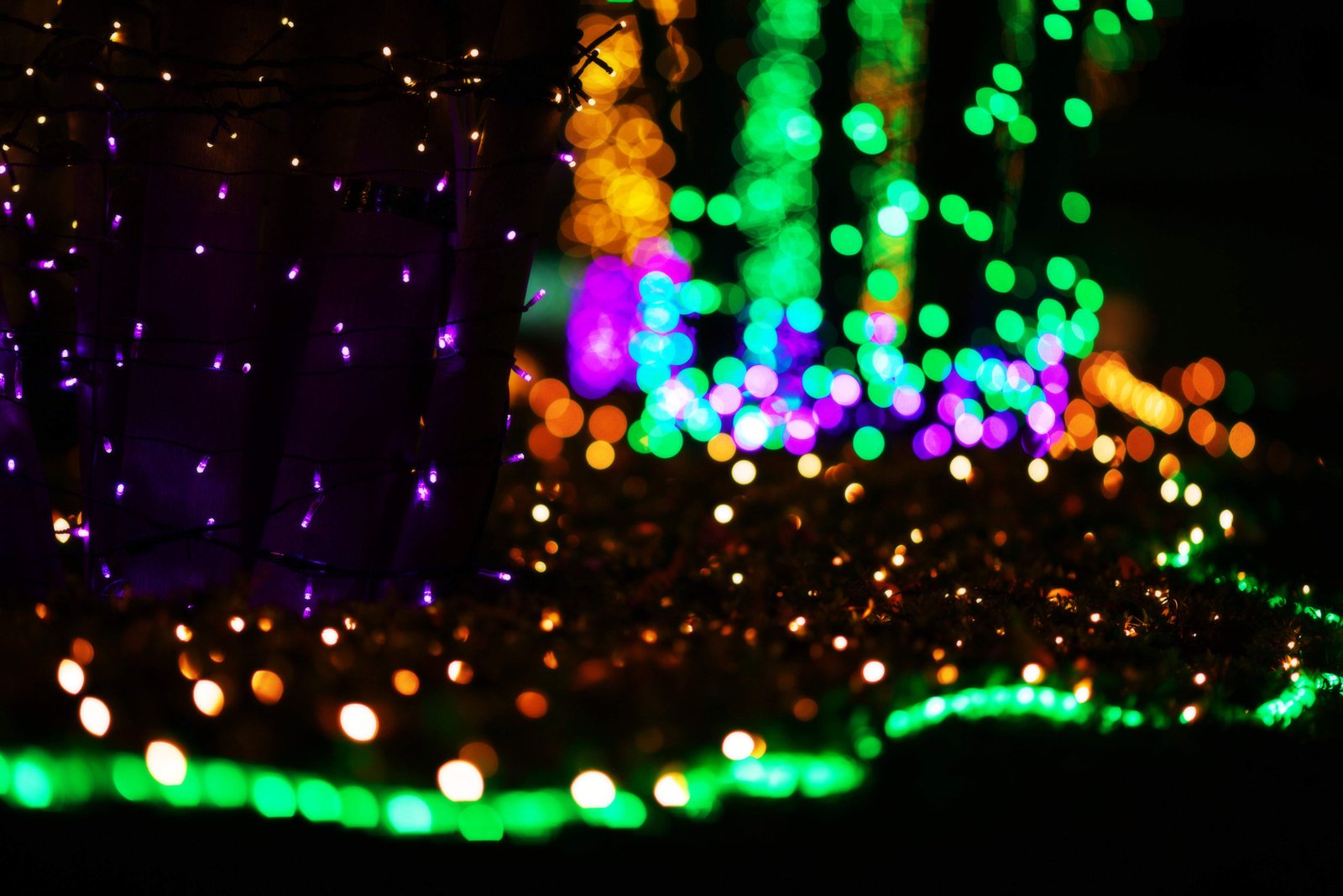 �ʐ^,�f��,����,�t���[,�t�H�g,�N���G�C�e�B�u�E�R�����Y,���i,�ǎ�,�V�h�̖�i, �V����, �N��, �����u�����O�e���X, �C���~�l�[�V����