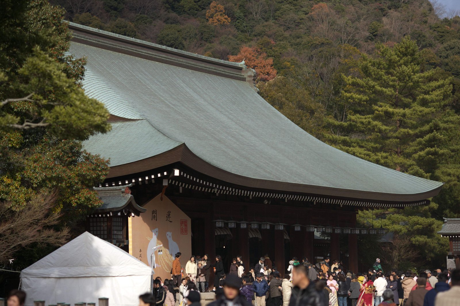 photo,material,free,landscape,picture,stock photo,Creative Commons,Outside the hall of worship in Kashihara Shrine, Shinto, , Chronicles of Japan, Kojiki