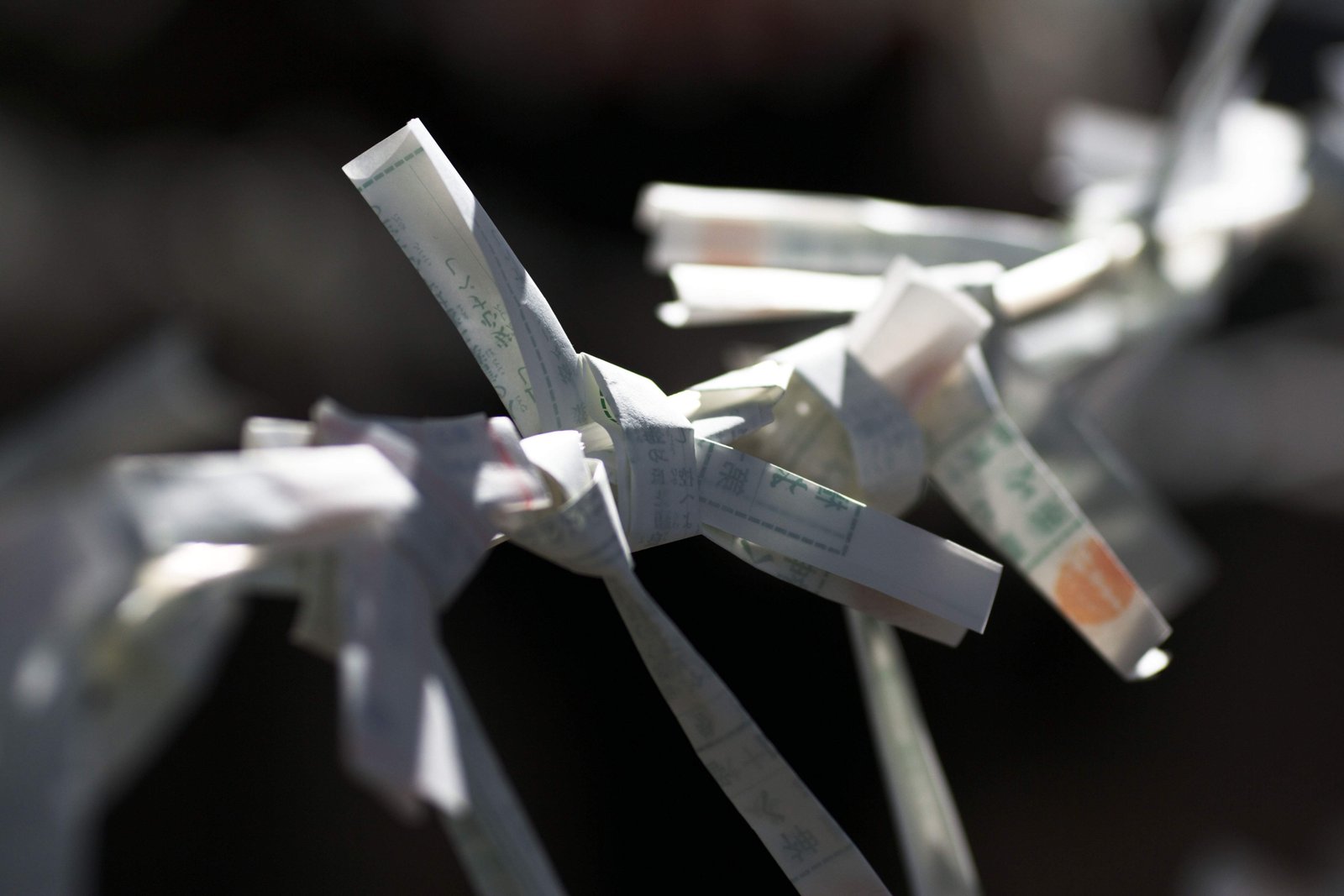 �ʐ^,�f��,����,�t���[,�t�H�g,�N���G�C�e�B�u�E�R�����Y,���i,�ǎ�,���݂�������, �_��, �肢, ��g, �^��