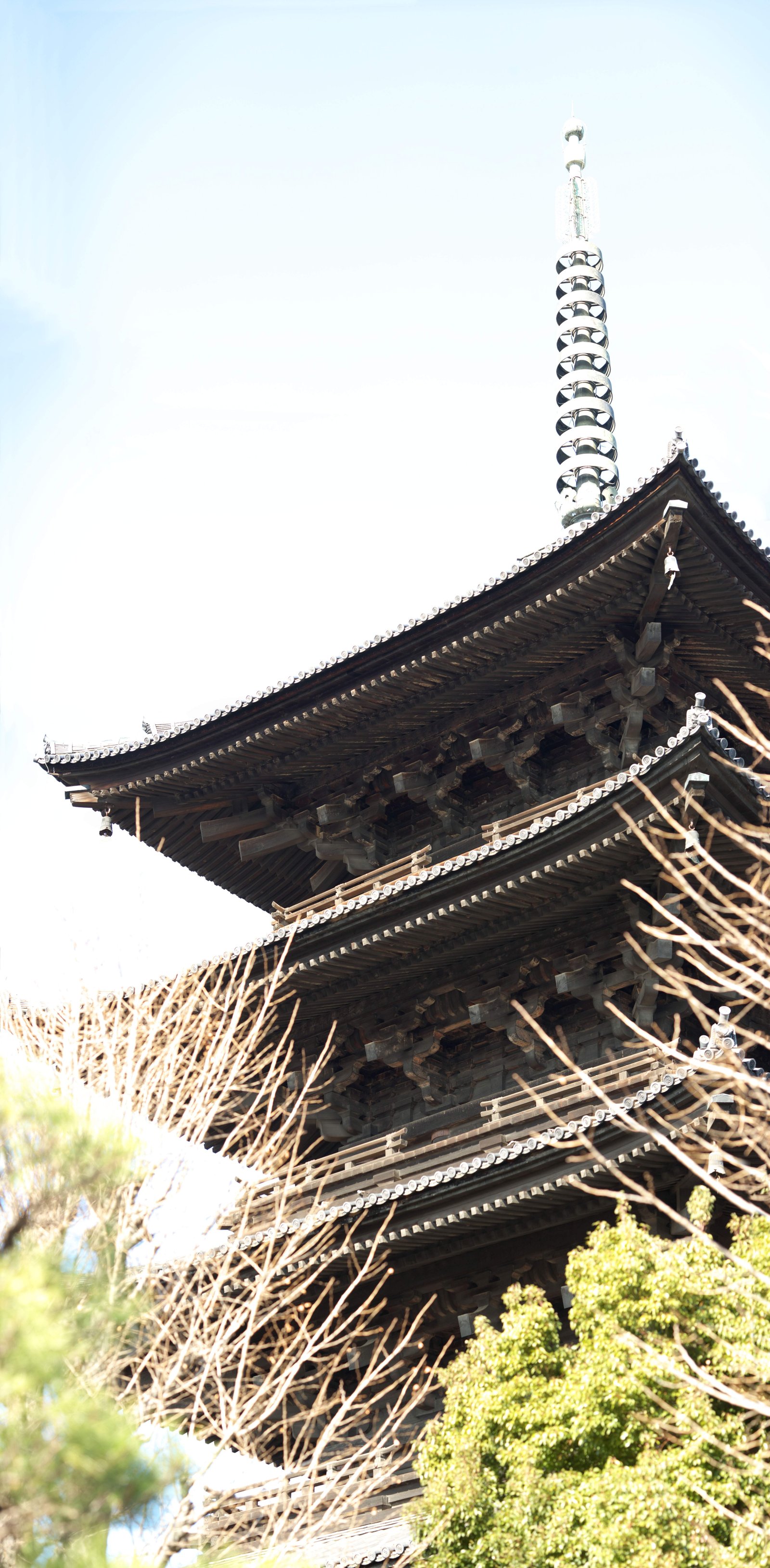 写真,素材,無料,フリー,フォト,クリエイティブ・コモンズ,風景,壁紙,東寺 五重塔, 仏教, タワー, 世界遺産, 5重の塔