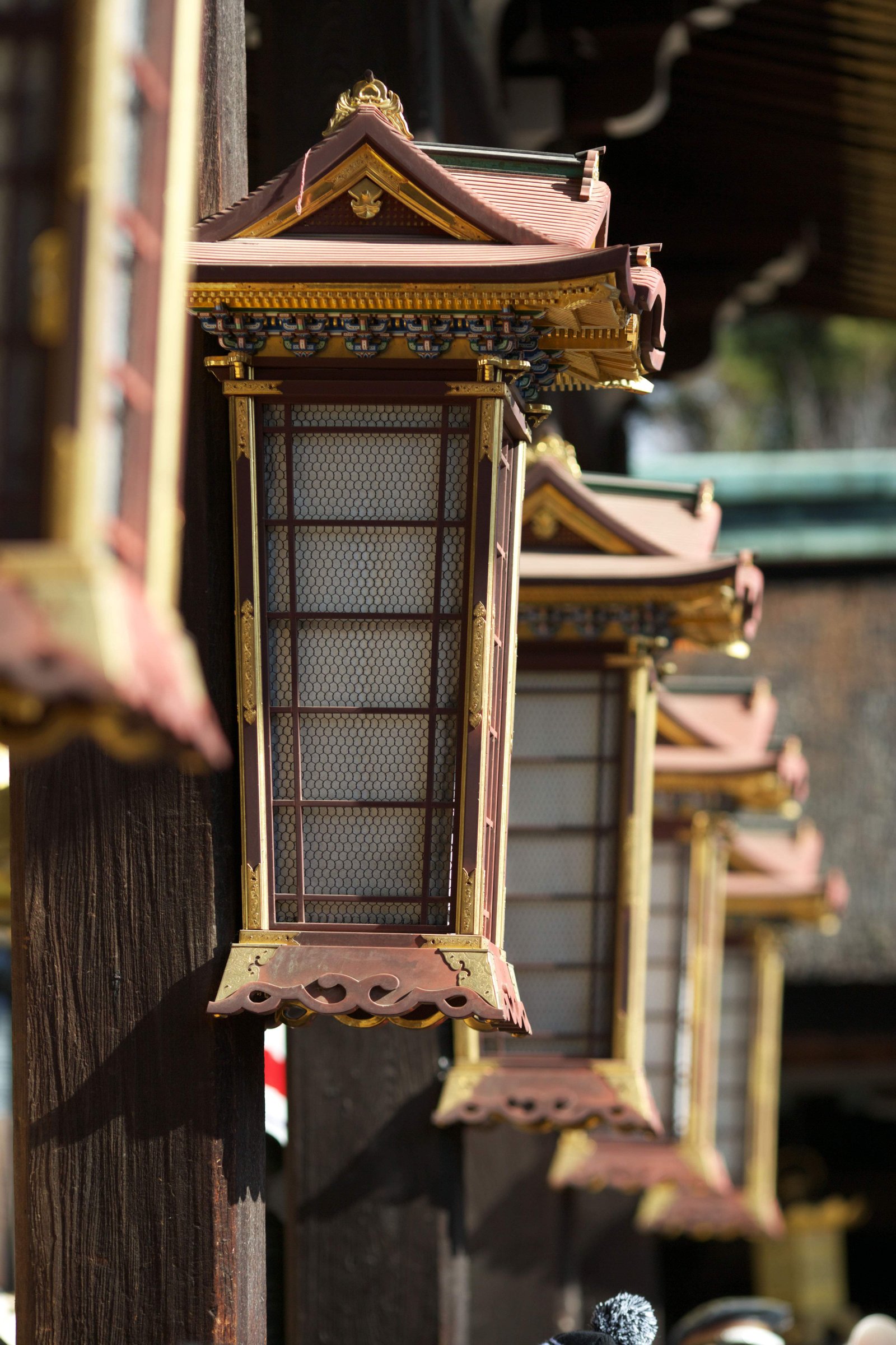 photo,material,free,landscape,picture,stock photo,Creative Commons,Kitano Tenman-gu shrine Lamp, Lighting, Garden lantern, Kitano, Plums