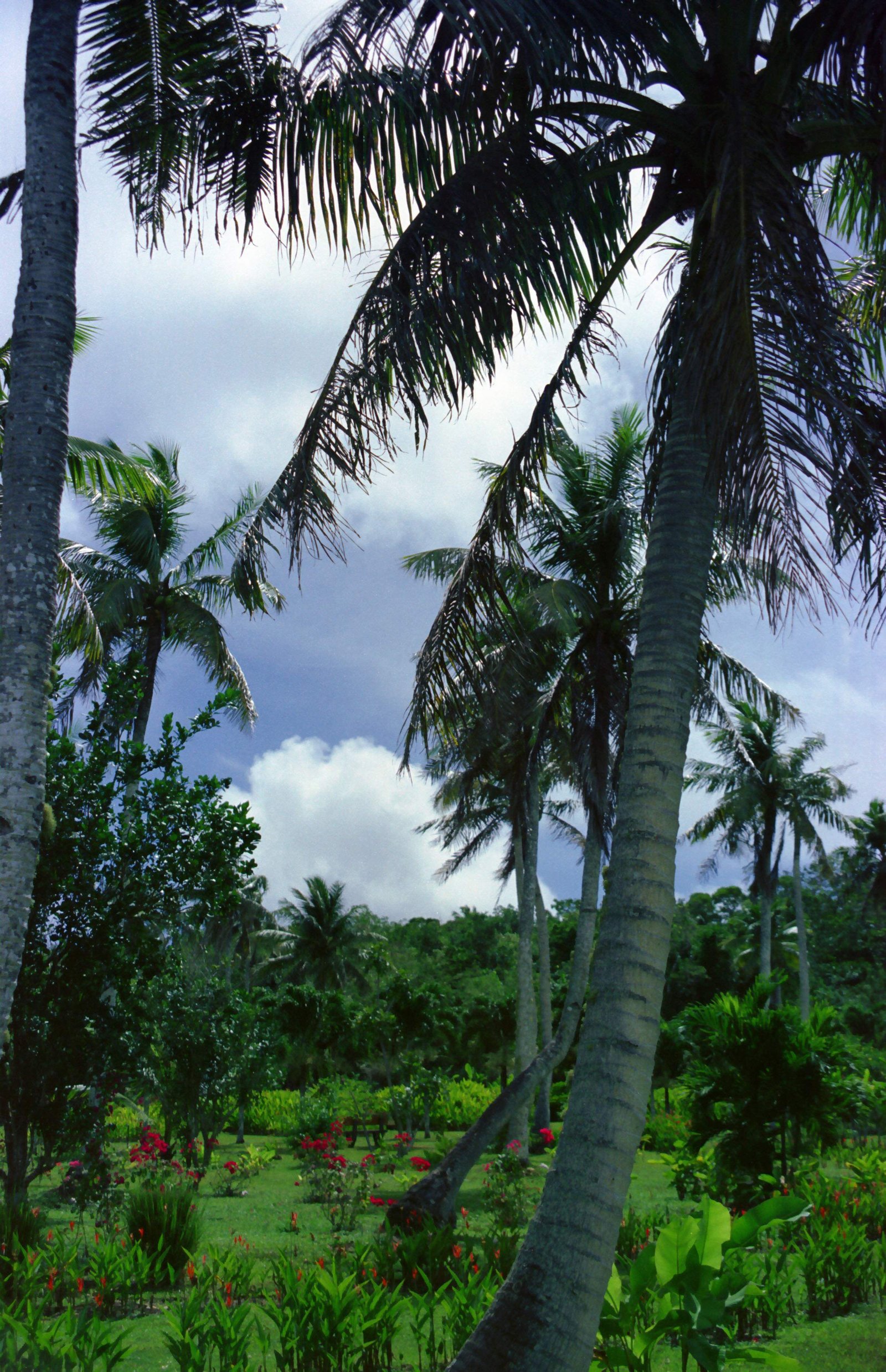 �ʐ^,�f��,����,�t���[,�t�H�g,�N���G�C�e�B�u�E�R�����Y,���i,�ǎ�,���q�Ɖ_, �_, ��, , 