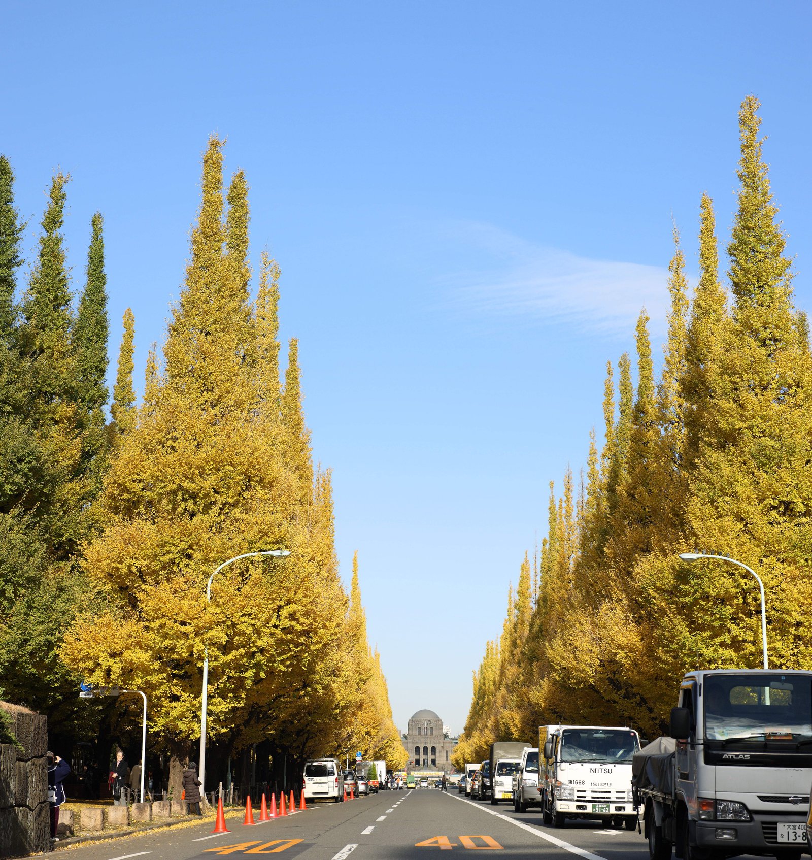 �ʐ^,�f��,����,�t���[,�t�H�g,�N���G�C�e�B�u�E�R�����Y,���i,�ǎ�,�O�������傤����, ���, �C�`���E, ���F, �X�H��