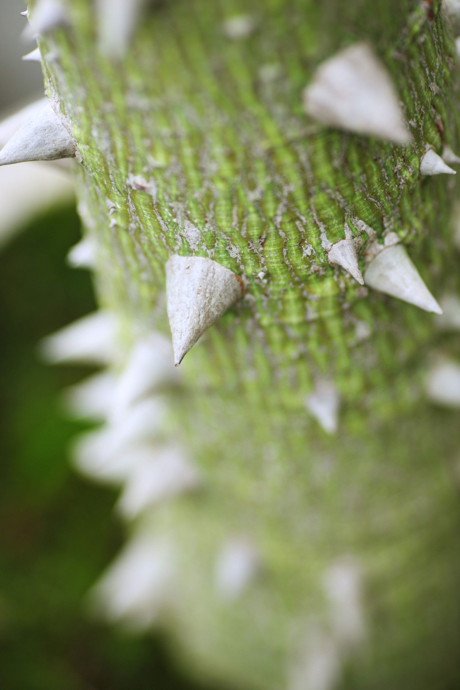 �ʐ^,�f��,����,�t���[,�t�H�g,�N���G�C�e�B�u�E�R�����Y,���i,�ǎ�,�g�Q, �g�Q, ��, ����, �ɂ���