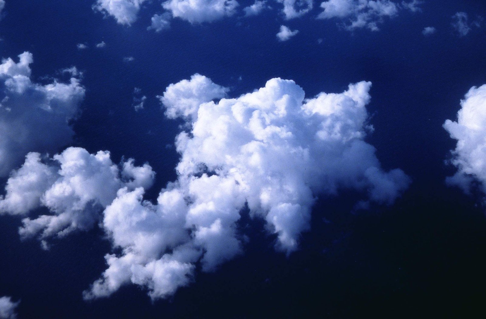 �ʐ^,�f��,����,�t���[,�t�H�g,�N���G�C�e�B�u�E�R�����Y,���i,�ǎ�,�_�j��, ��, , , 