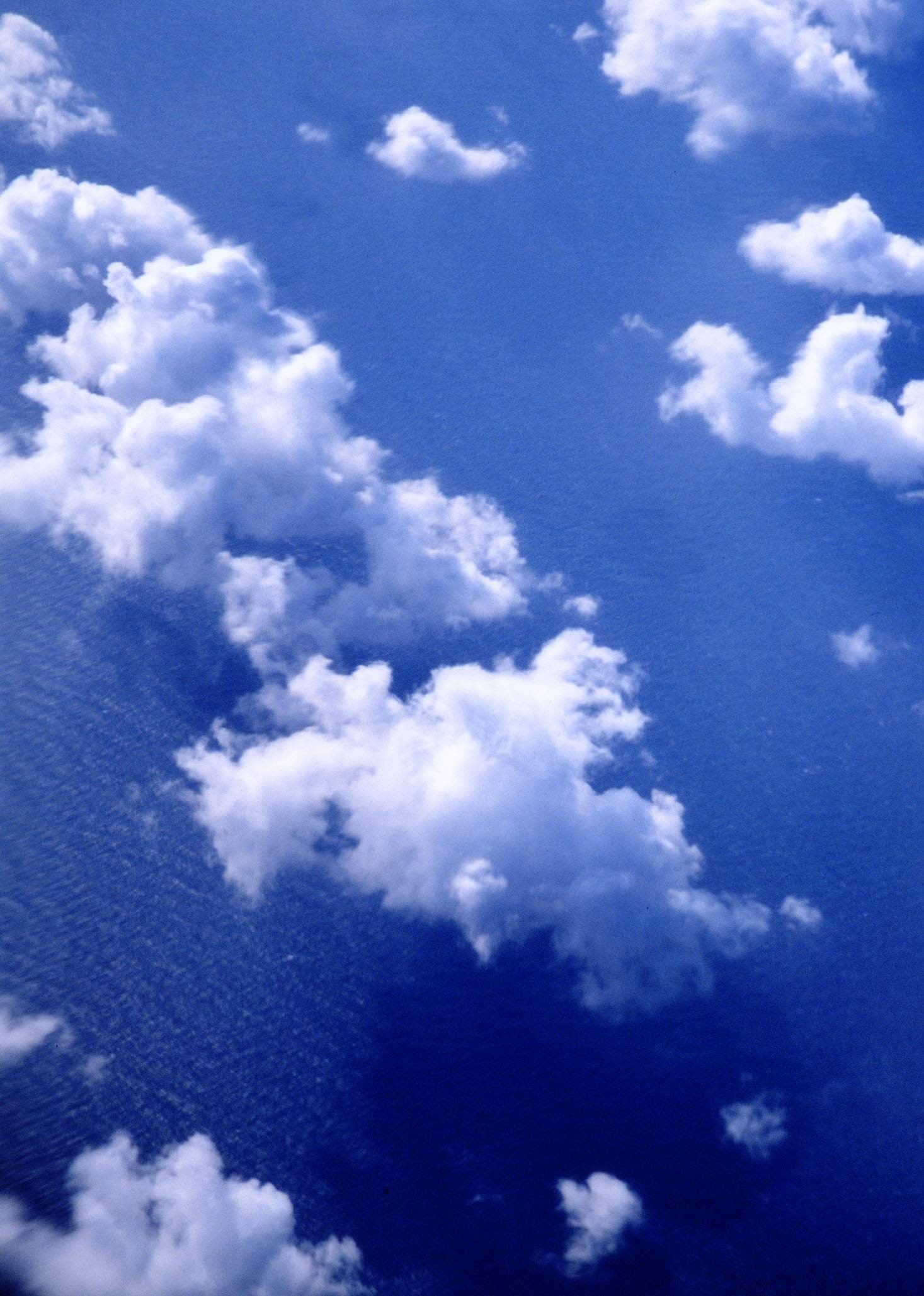 �ʐ^,�f��,����,�t���[,�t�H�g,�N���G�C�e�B�u�E�R�����Y,���i,�ǎ�,�_�V��, ��, , , 