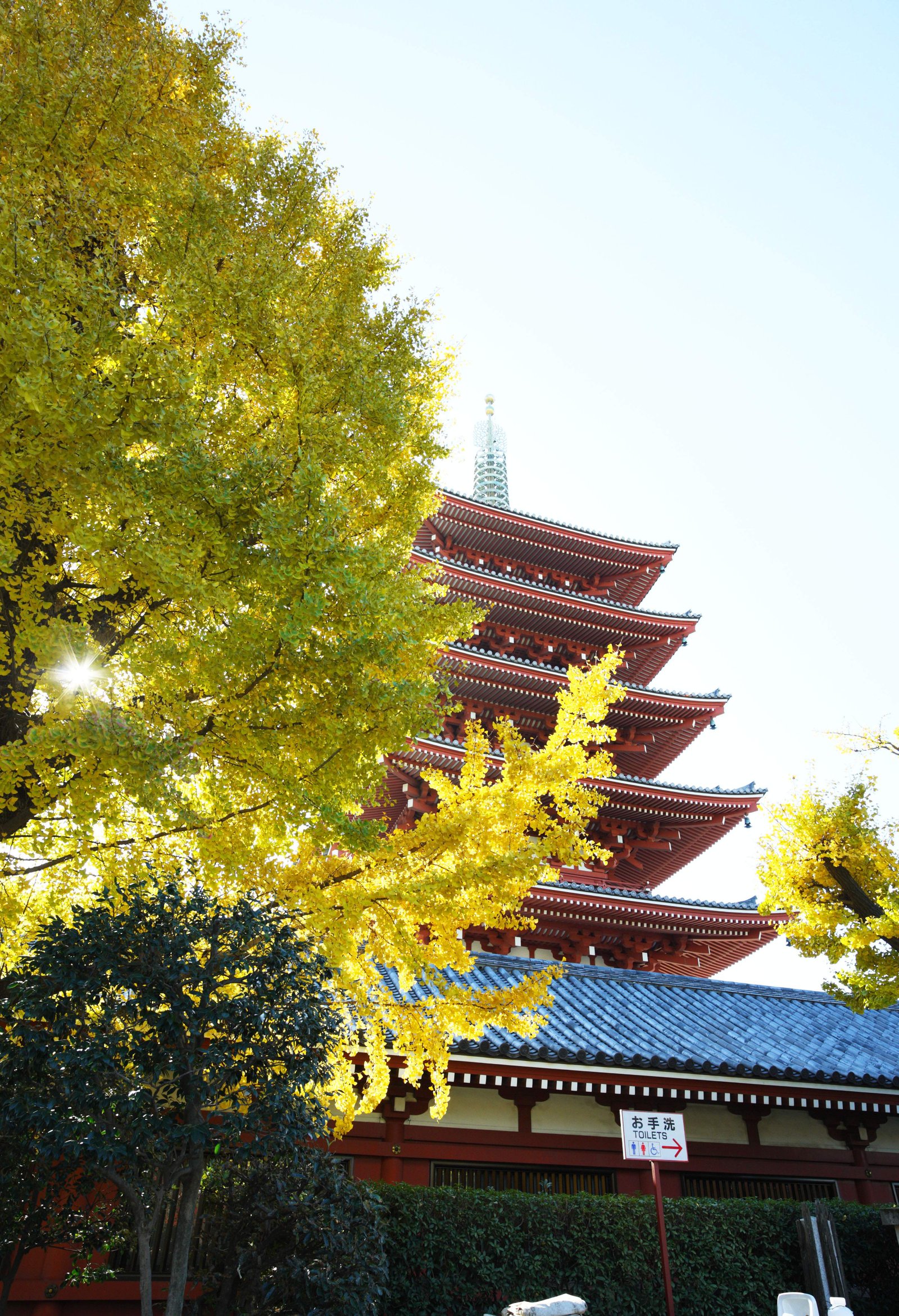 写真,素材,無料,フリー,フォト,クリエイティブ・コモンズ,風景,壁紙,浅草寺 五重塔, 仏教寺院, 浅草寺, 浅草, 朱塗り