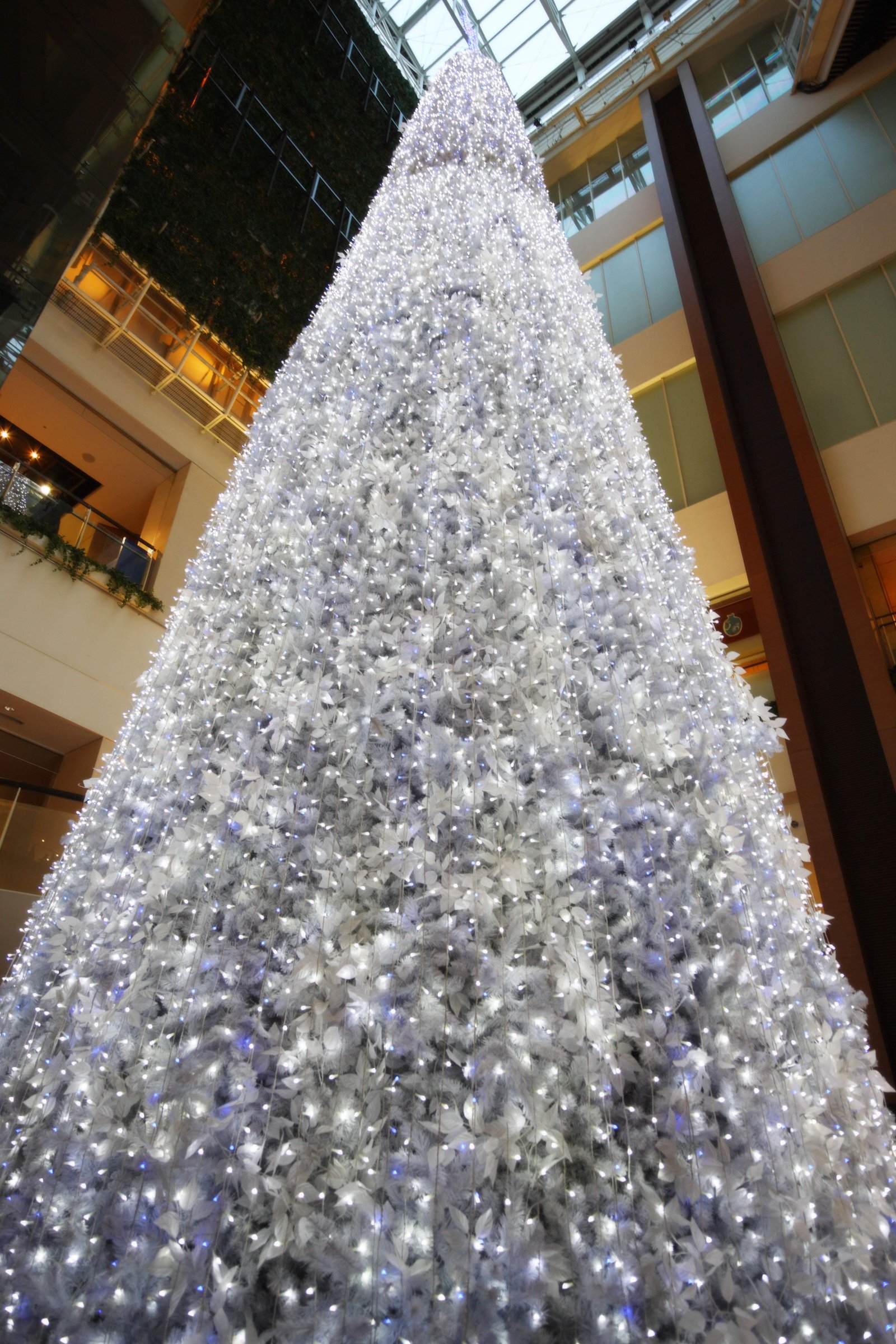 �ʐ^,�f��,����,�t���[,�t�H�g,�N���G�C�e�B�u�E�R�����Y,���i,�ǎ�,�N���X�}�X������, LED, X'mas, ��, �N��