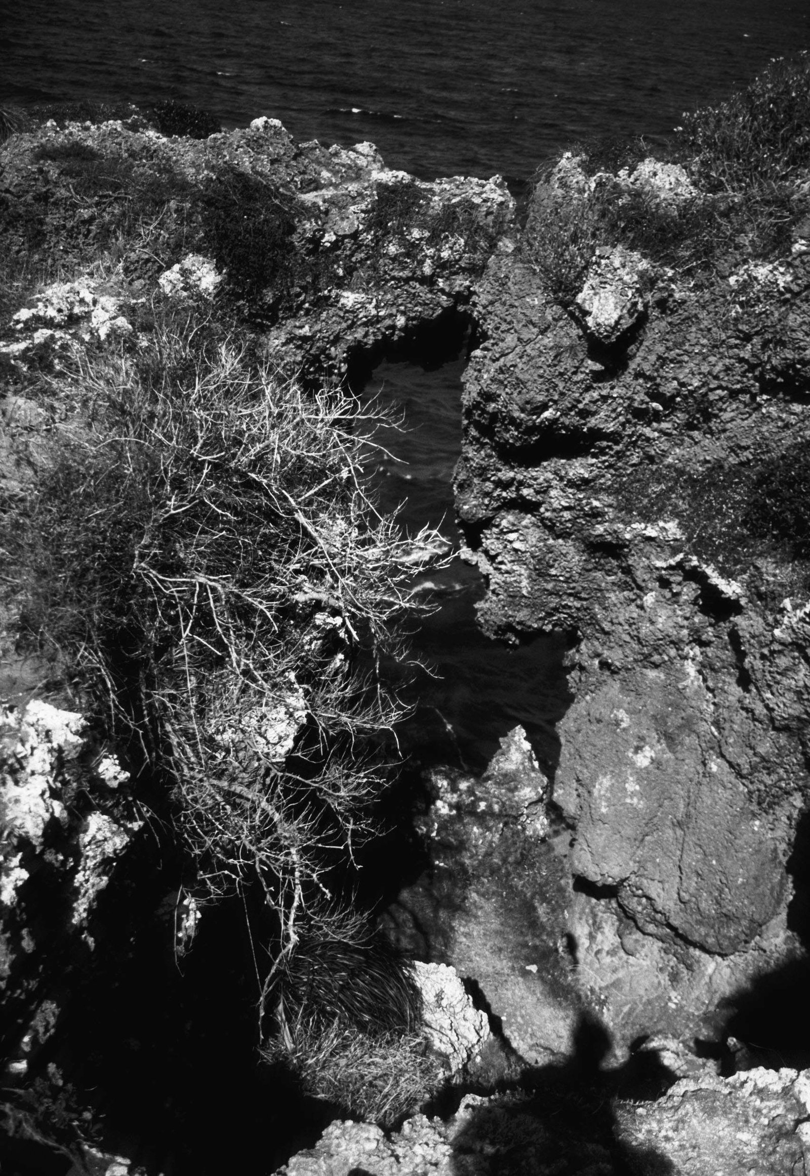 �ʐ^,�f��,����,�t���[,�t�H�g,�N���G�C�e�B�u�E�R�����Y,���i,�ǎ�,�r��ʂĂ�, ��, �}, �C, 