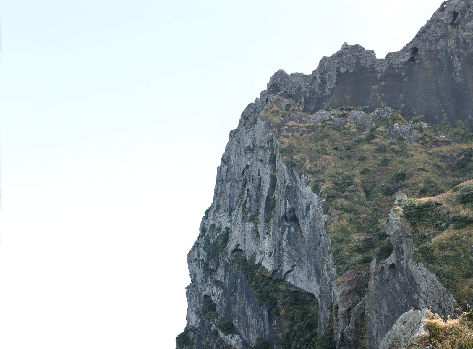 �ʐ^,�f��,����,�t���[,�t�H�g,�N���G�C�e�B�u�E�R�����Y,���i,�ǎ�,��R���o��, �\���T���C���`�����{��, �f�R���, �ΎR��, �i���n