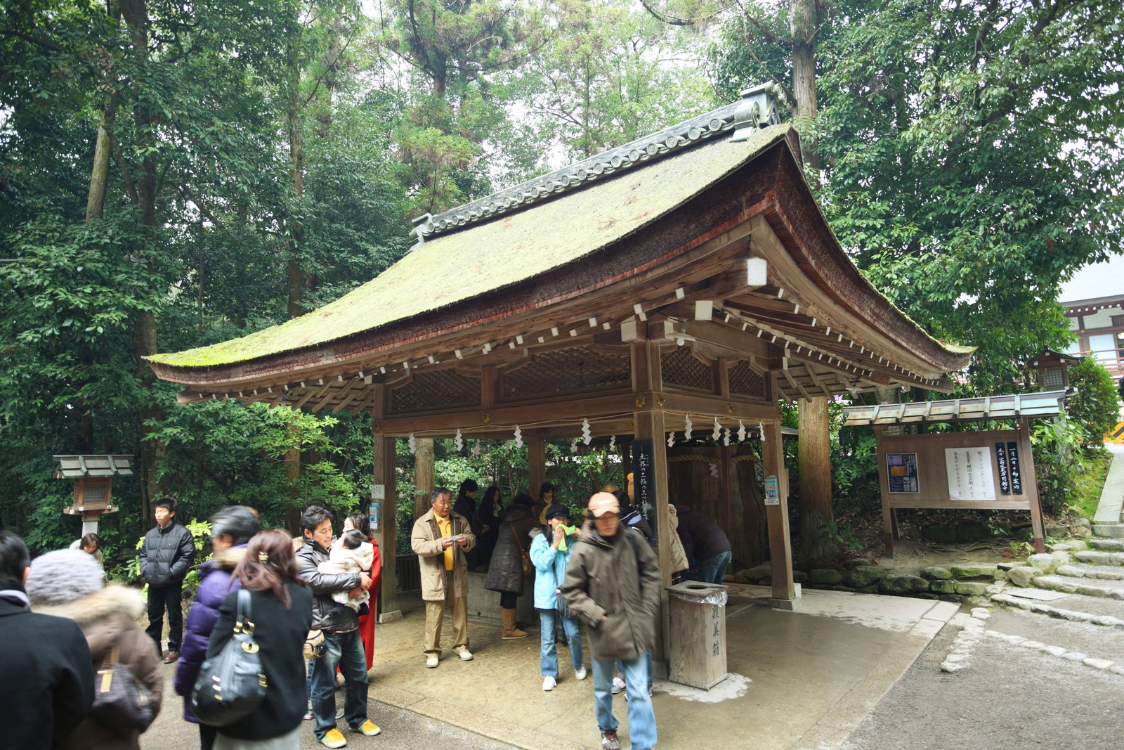 写真,素材,無料,フリー,フォト,クリエイティブ・コモンズ,風景,壁紙,三輪神社 手水舎, お清め, 水, 神域, 参拝