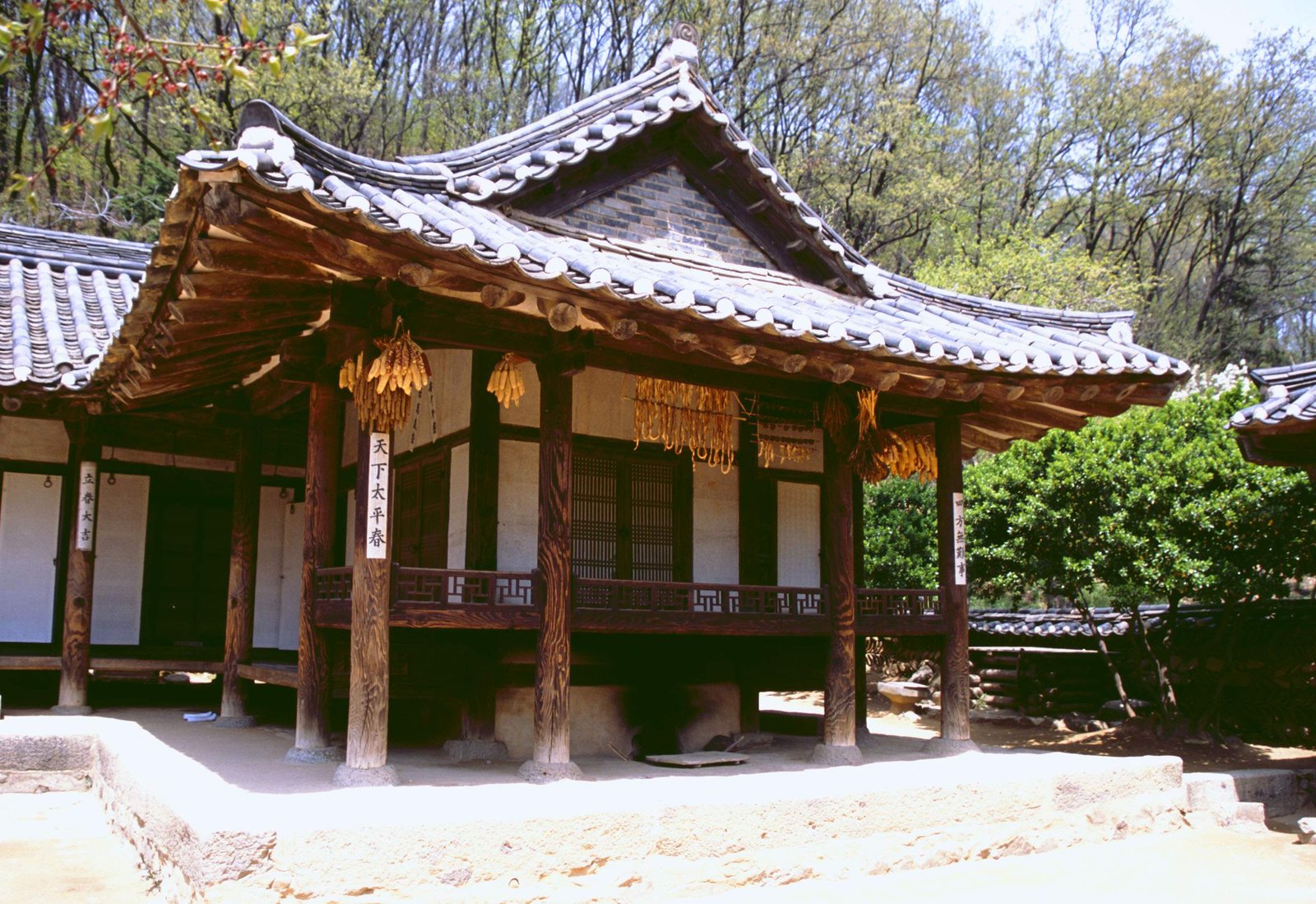 �ʐ^,�f��,����,�t���[,�t�H�g,�N���G�C�e�B�u�E�R�����Y,���i,�ǎ�,�؍����~, �`��, , , 