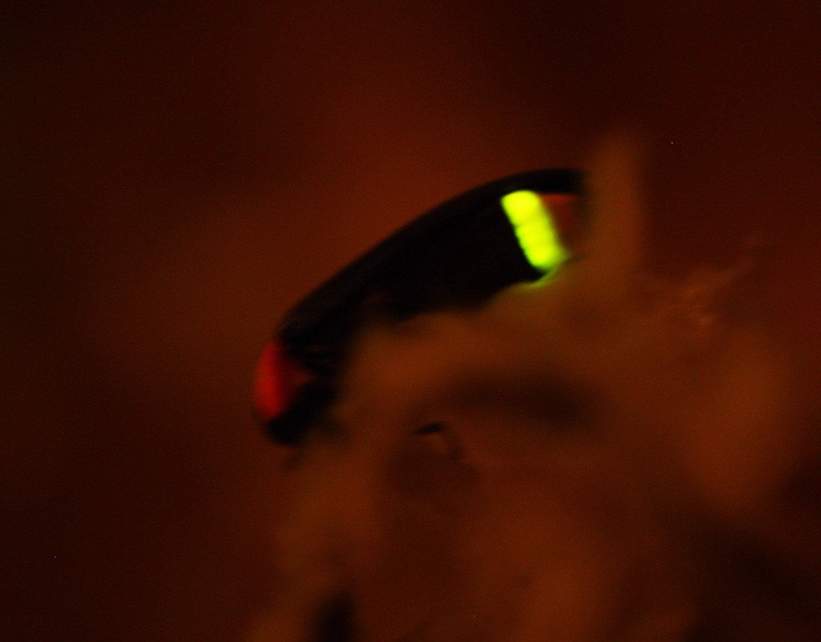 photo,material,free,landscape,picture,stock photo,Creative Commons,A firefly, firefly, , , Light