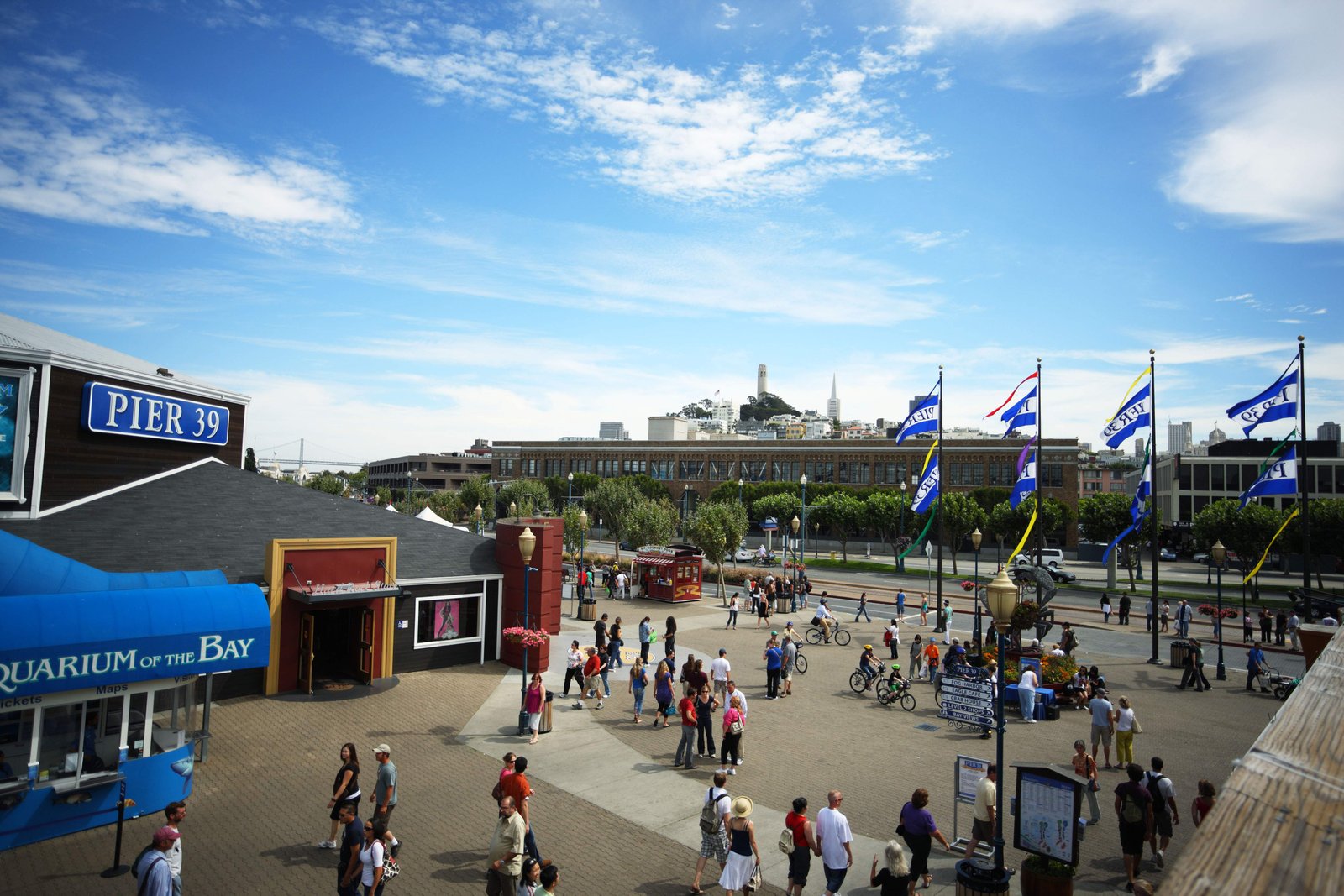 �ʐ^,�f��,����,�t���[,�t�H�g,�N���G�C�e�B�u�E�R�����Y,���i,�ǎ�,Pier39, �W��, �x, ����, �ό�