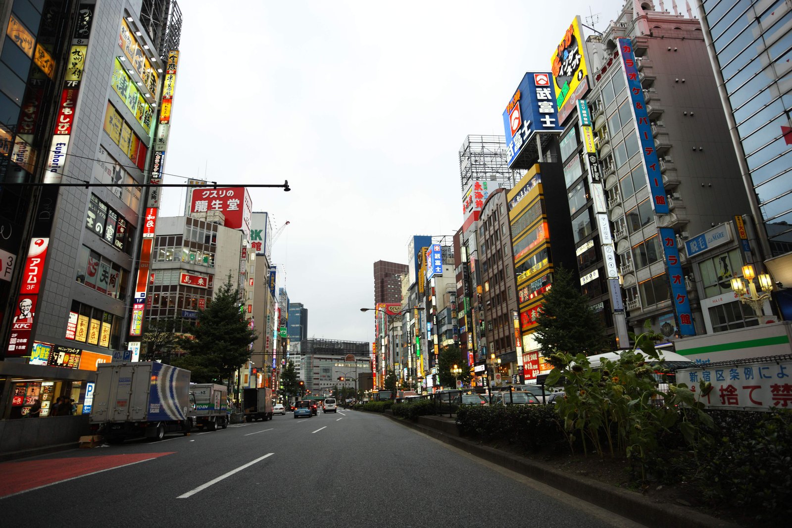 �ʐ^,�f��,����,�t���[,�t�H�g,�N���G�C�e�B�u�E�R�����Y,���i,�ǎ�,�V�h�̕��꒬, ���H�X, �Ŕ�, ����, �d��