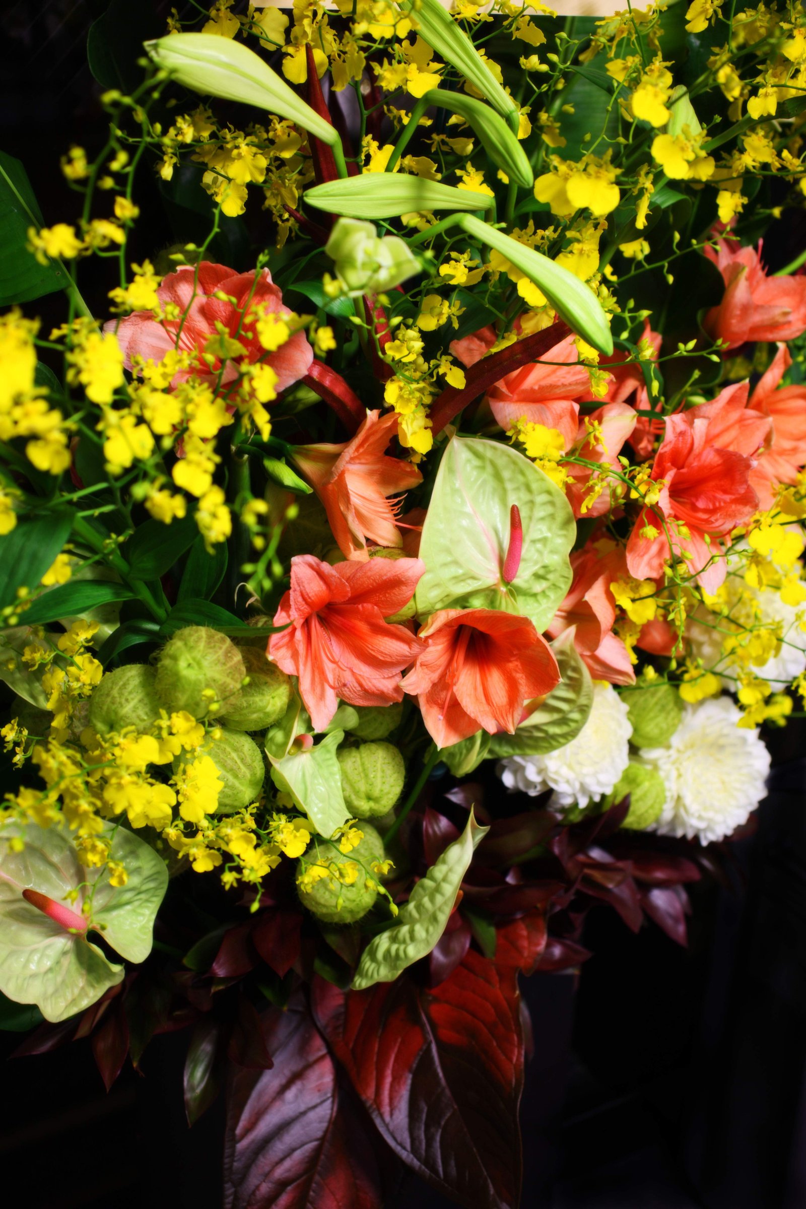 �ʐ^,�f��,����,�t���[,�t�H�g,�N���G�C�e�B�u�E�R�����Y,���i,�ǎ�,�t�����[�A�����W�����g, �ԑ�, ����, ����, �ؗ�