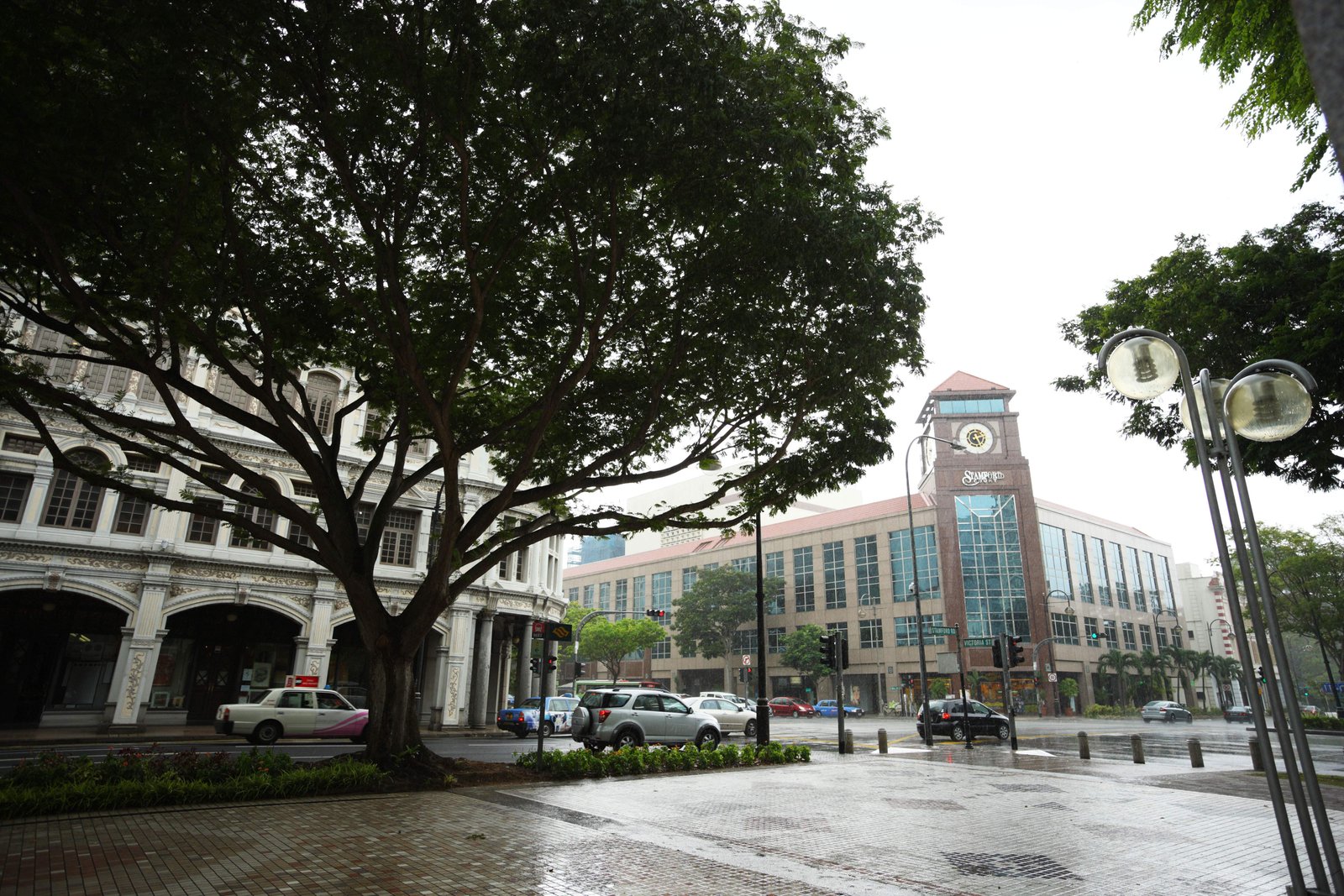 �ʐ^,�f��,����,�t���[,�t�H�g,�N���G�C�e�B�u�E�R�����Y,���i,�ǎ�,�X�R�[���Ȃ�, ���J, �X�R�[��, �X�H��, �����_