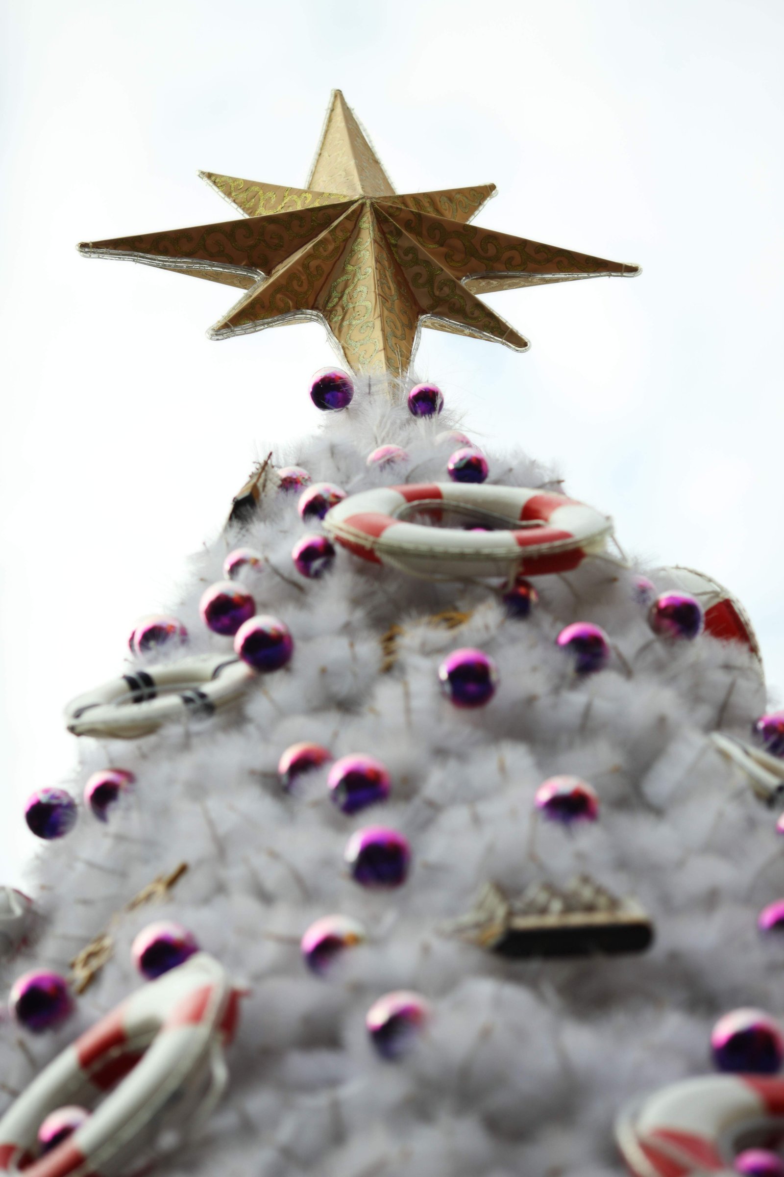 �ʐ^,�f��,����,�t���[,�t�H�g,�N���G�C�e�B�u�E�R�����Y,���i,�ǎ�,�N���X�}�X�c���[, ��, ��, �I�[�i�����g, X'mas