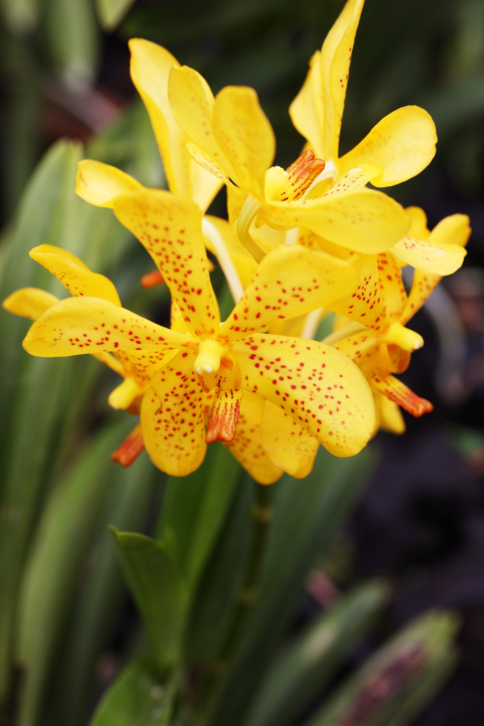 �ʐ^,�f��,����,�t���[,�t�H�g,�N���G�C�e�B�u�E�R�����Y,���i,�ǎ�,���F�̗�, ��, ���, ����, ����