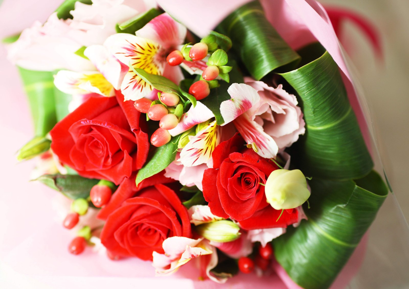 �ʐ^,�f��,����,�t���[,�t�H�g,�N���G�C�e�B�u�E�R�����Y,���i,�ǎ�,�ԑ�, �ԑ�, ��, �Y��, �t�@���^�W�[